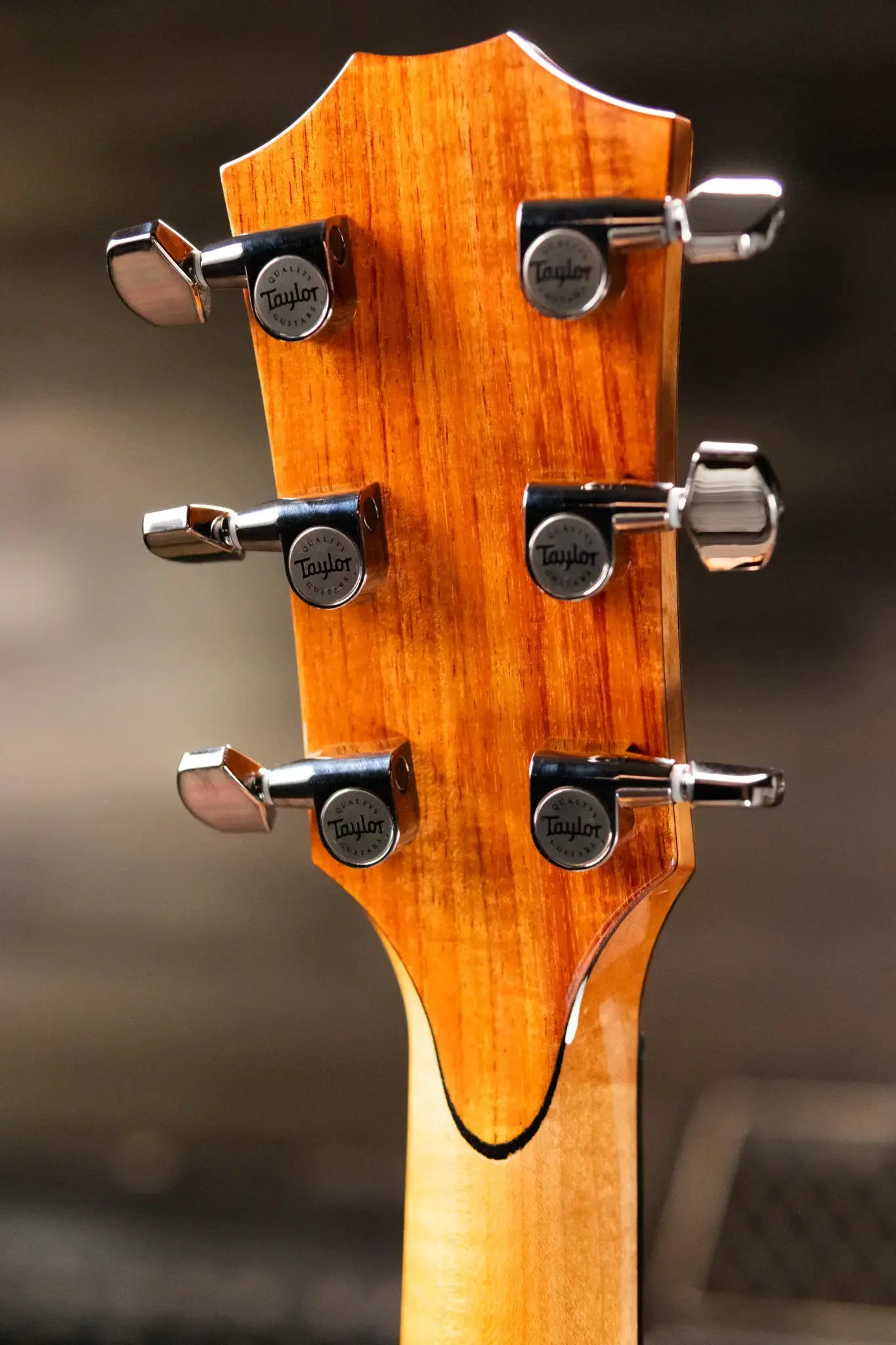 Taylor Custom Shop C12ce "Amber Tide" 2025 Catch Event #16 Grand Concert Acoustic/Electric Guitar - Quilted Maple/Sinker Redwood with Hardshell Case