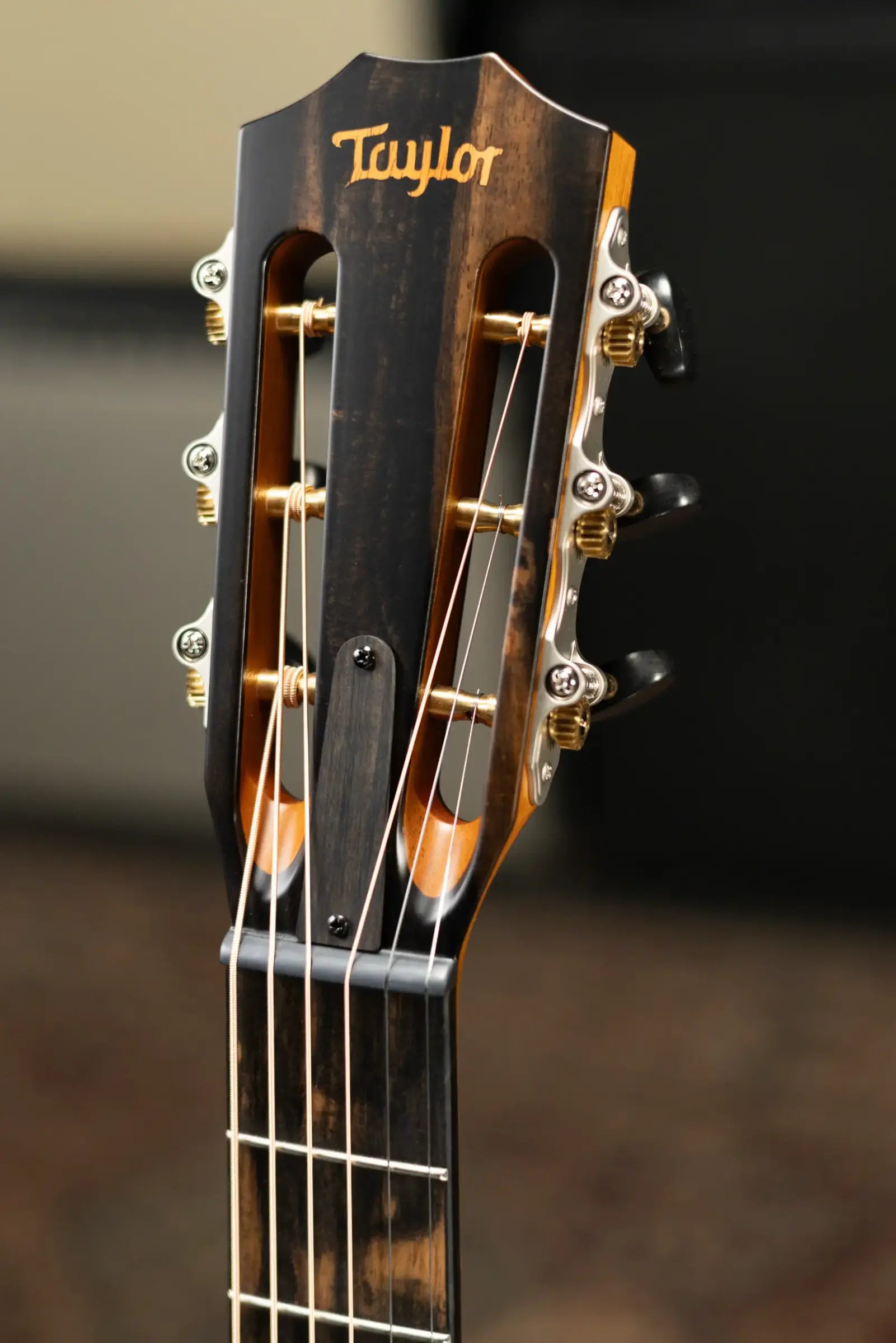 Taylor Custom Shop C12ce B6026 2026 NAMM Catch Custom #26 Grand Concert Acoustic/Electric Guitar with Hardshell Case