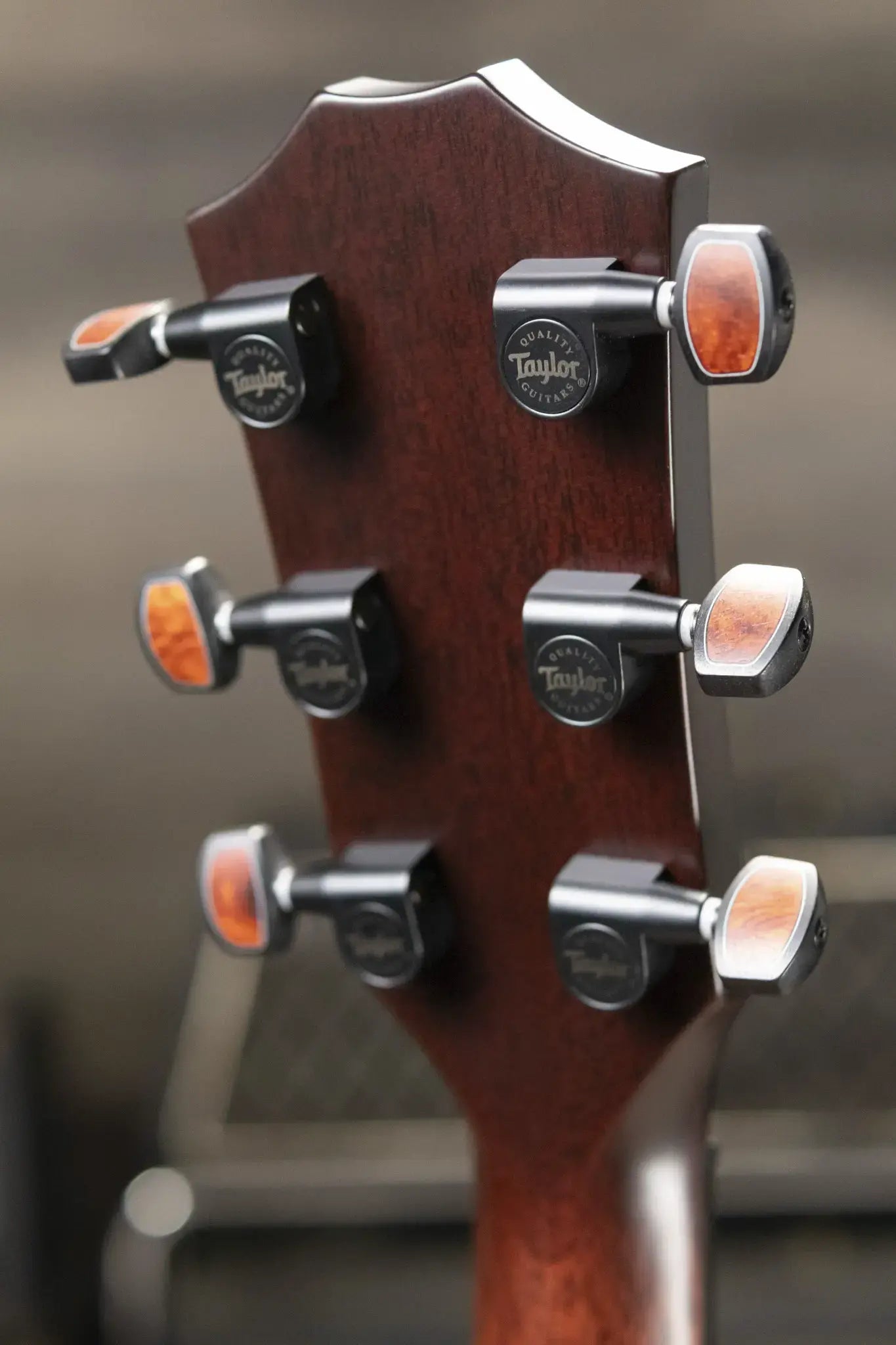 Taylor "The Monument" 1 of 20 C12e 12-Fret 2025 Catch Event #10 Grand Concert Acoustic/Electric Guitar - Black Limba/Sinker Cypress with Hardshell Case