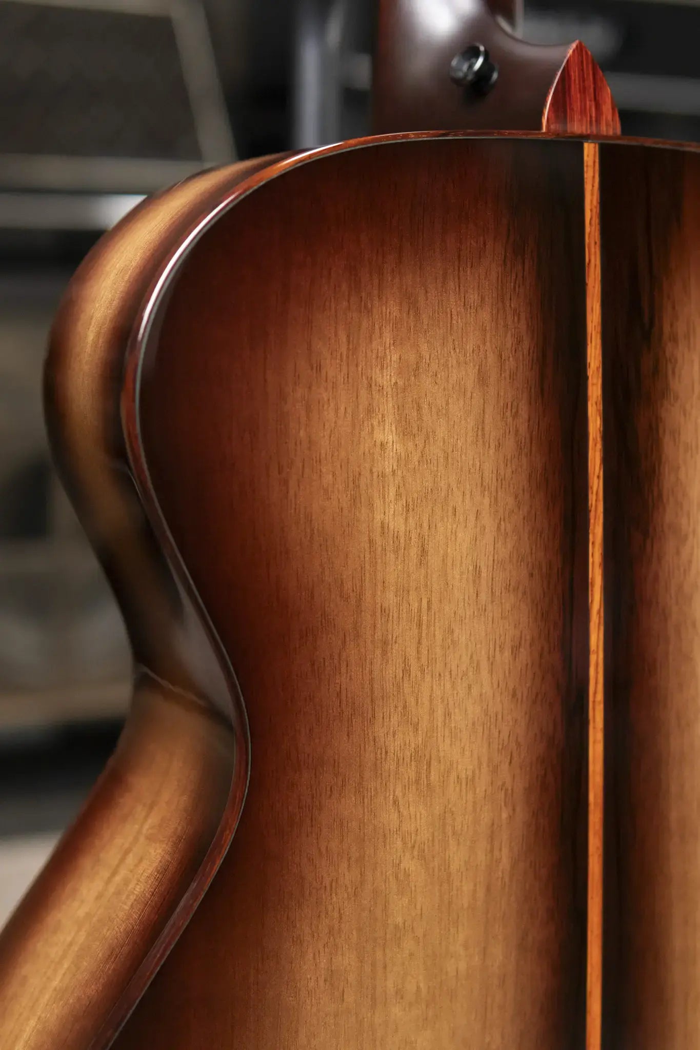 Taylor "The Monument" 1 of 20 C12e 12-Fret 2025 Catch Event #10 Grand Concert Acoustic/Electric Guitar - Black Limba/Sinker Cypress with Hardshell Case