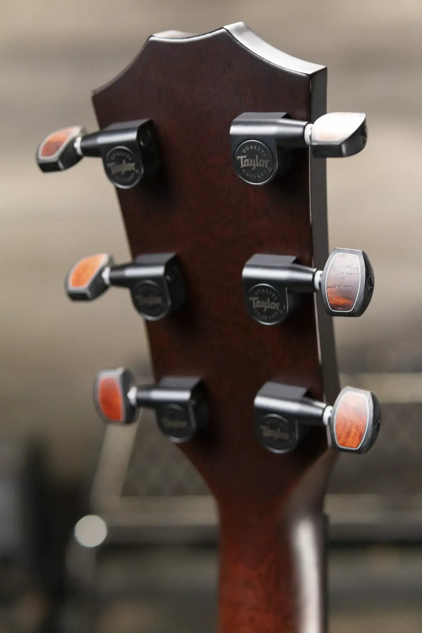 Taylor "The Monument" 1 of 20 C12e 12-Fret 2025 Catch Event #10 Grand Concert Acoustic/Electric Guitar - Black Limba/Sinker Cypress with Hardshell Case
