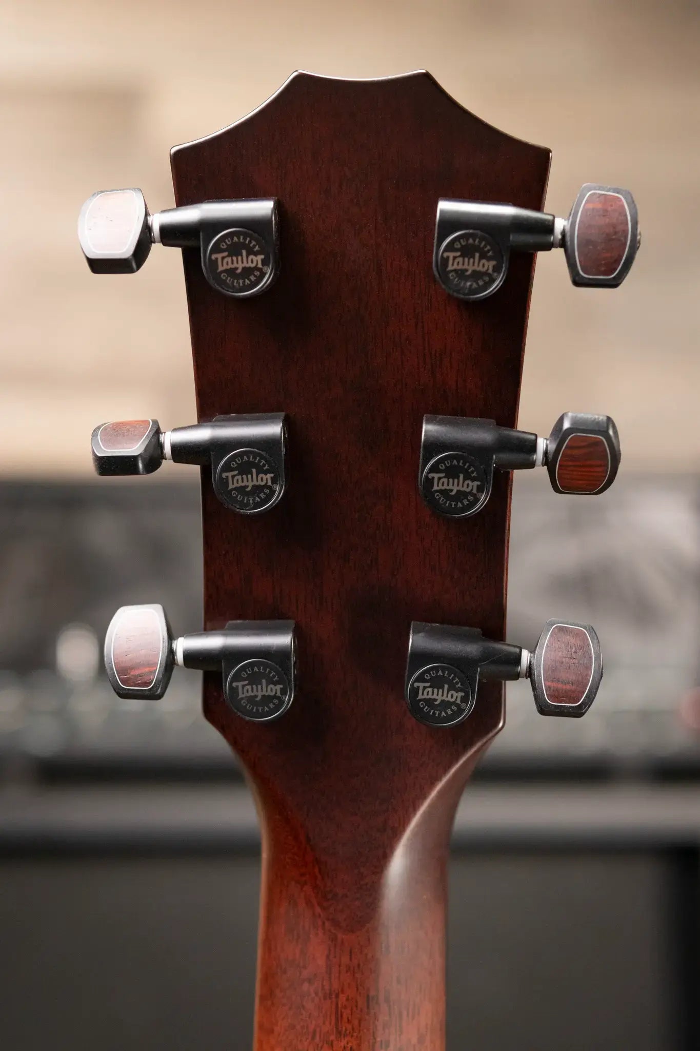 Taylor "The Monument" 1 of 20 12-Fret 2025 Catch Event #10 Grand Concert Acoustic/Electric Guitar - Black Limba/Sinker Cypress with Hardshell Case