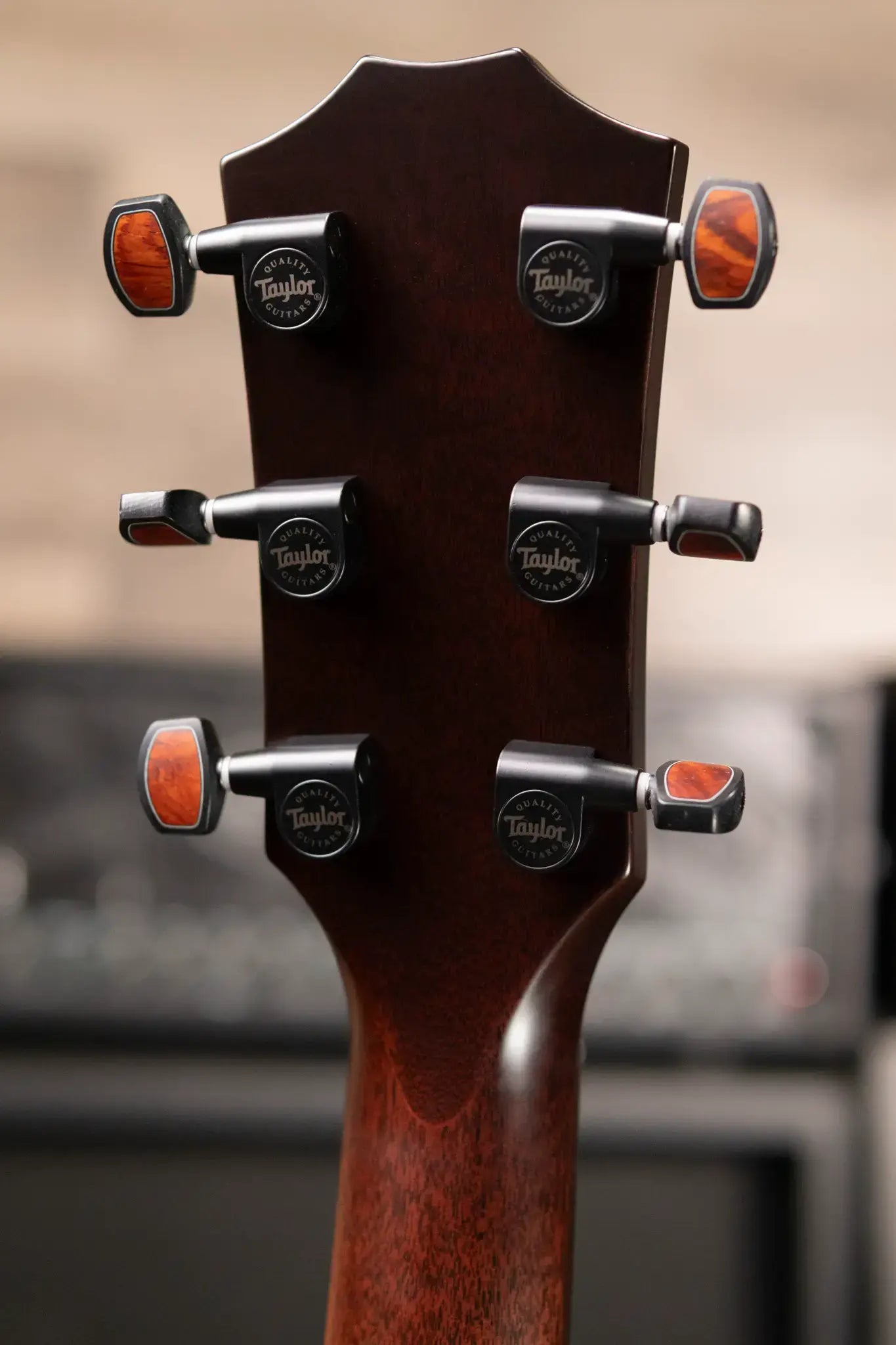 Taylor "The Monument" 1 of 20 C12e 12-Fret 2025 Catch Event #10 Grand Concert Acoustic/Electric Guitar - Black Limba/Sinker Cypress with Hardshell Case