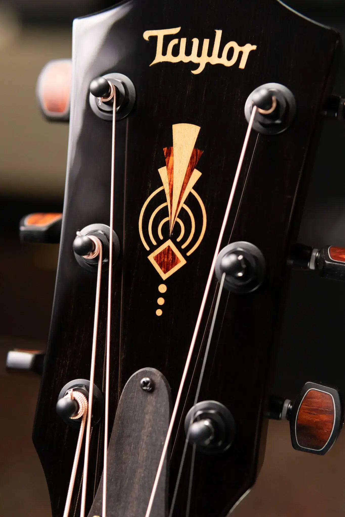 Taylor "The Monument" 1 of 20 C12e 12-Fret 2025 Catch Event #10 Grand Concert Acoustic/Electric Guitar - Black Limba/Sinker Cypress with Hardshell Case