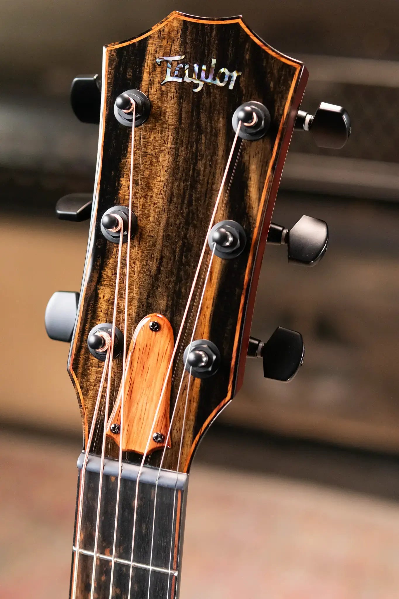 Taylor Custom Shop C14ce B5042 2025 Catch Event #42 Grand Auditorium Acoustic/Electric Guitar - Sassafras/Bearclaw Sitka Spruce with Hardshell Case