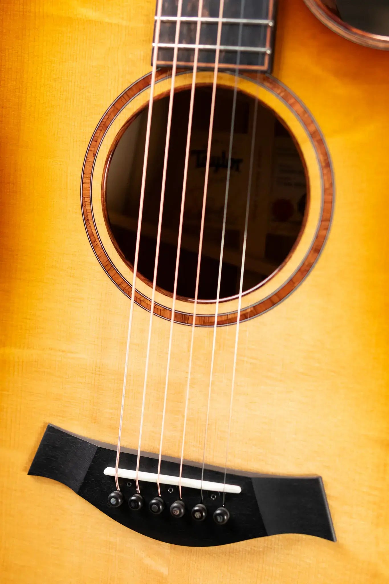 Taylor Custom Shop C14ce B5042 2025 Catch Event #42 Grand Auditorium Acoustic/Electric Guitar - Sassafras/Bearclaw Sitka Spruce with Hardshell Case