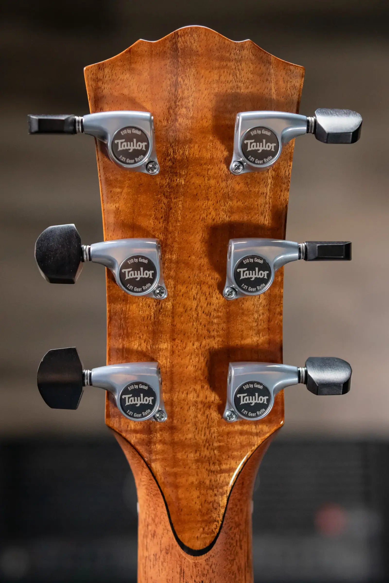 Taylor Custom Shop C14ce B6015 2026 Catch Custom #15 Gold Label Super Auditorium Acoustic/Electric Guitar with Hardshell Case