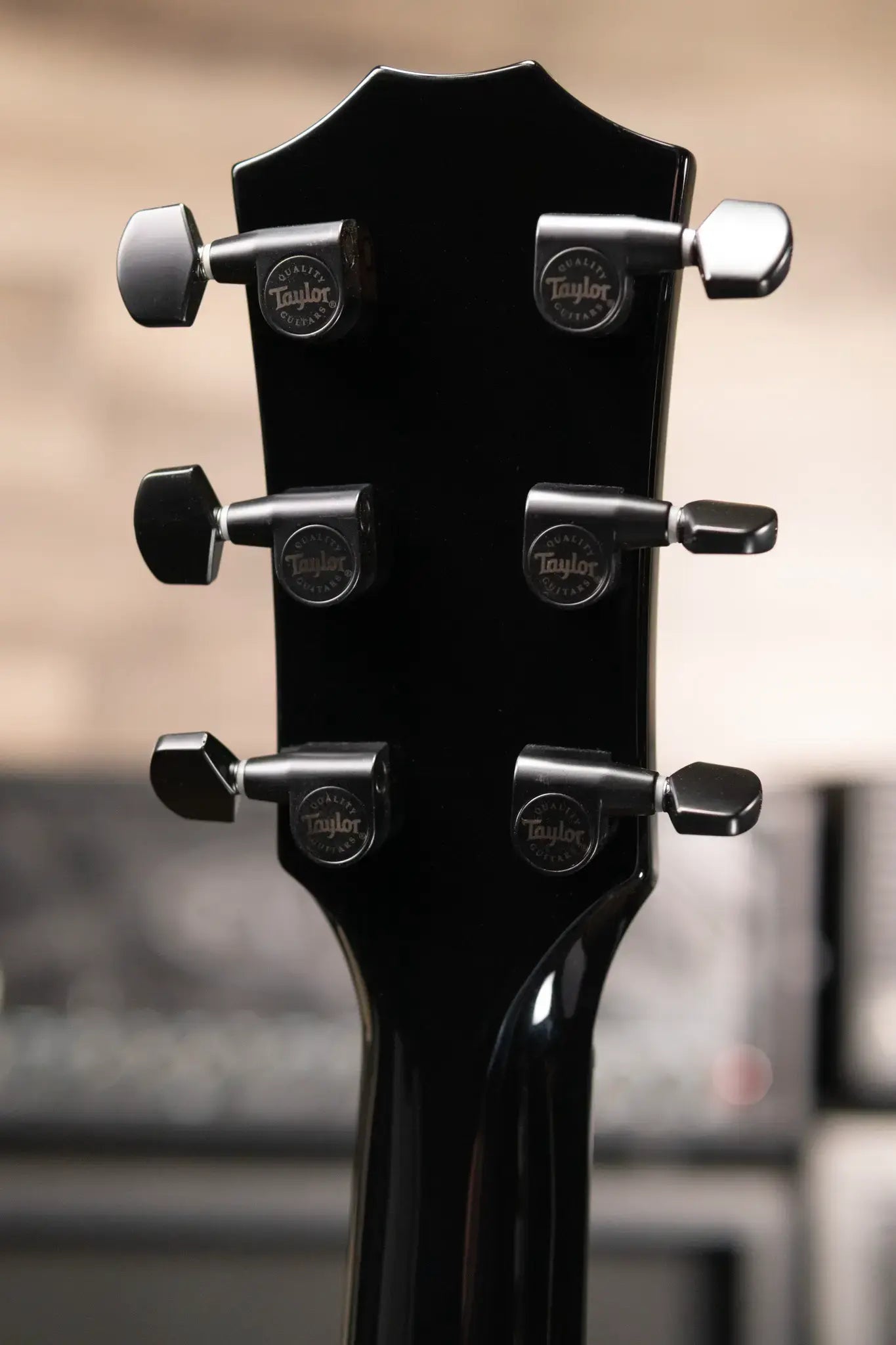 Taylor Custom Shop C14ce Catch Event #34 Grand Auditorium Acoustic/Electric Guitar - Sitka Spruce/Maple with Hardshell Case