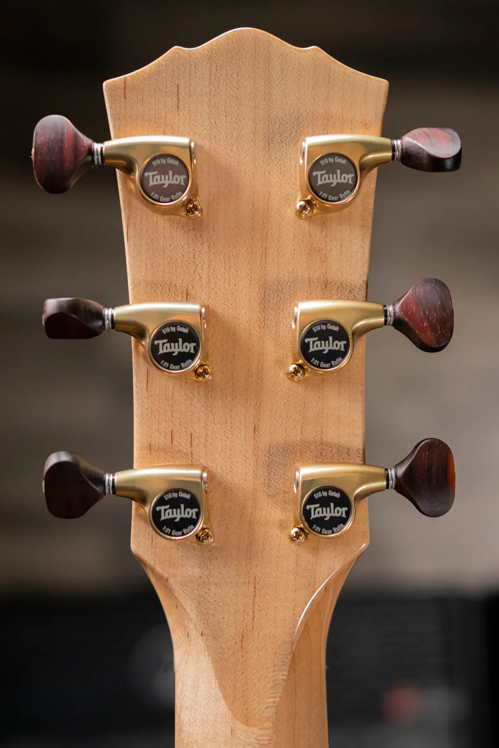 Taylor Custom Shop C14e B6034 2026 Catch Custom #34 Gold Label Super Auditorium Acoustic/Electric Guitar with Hardshell Case