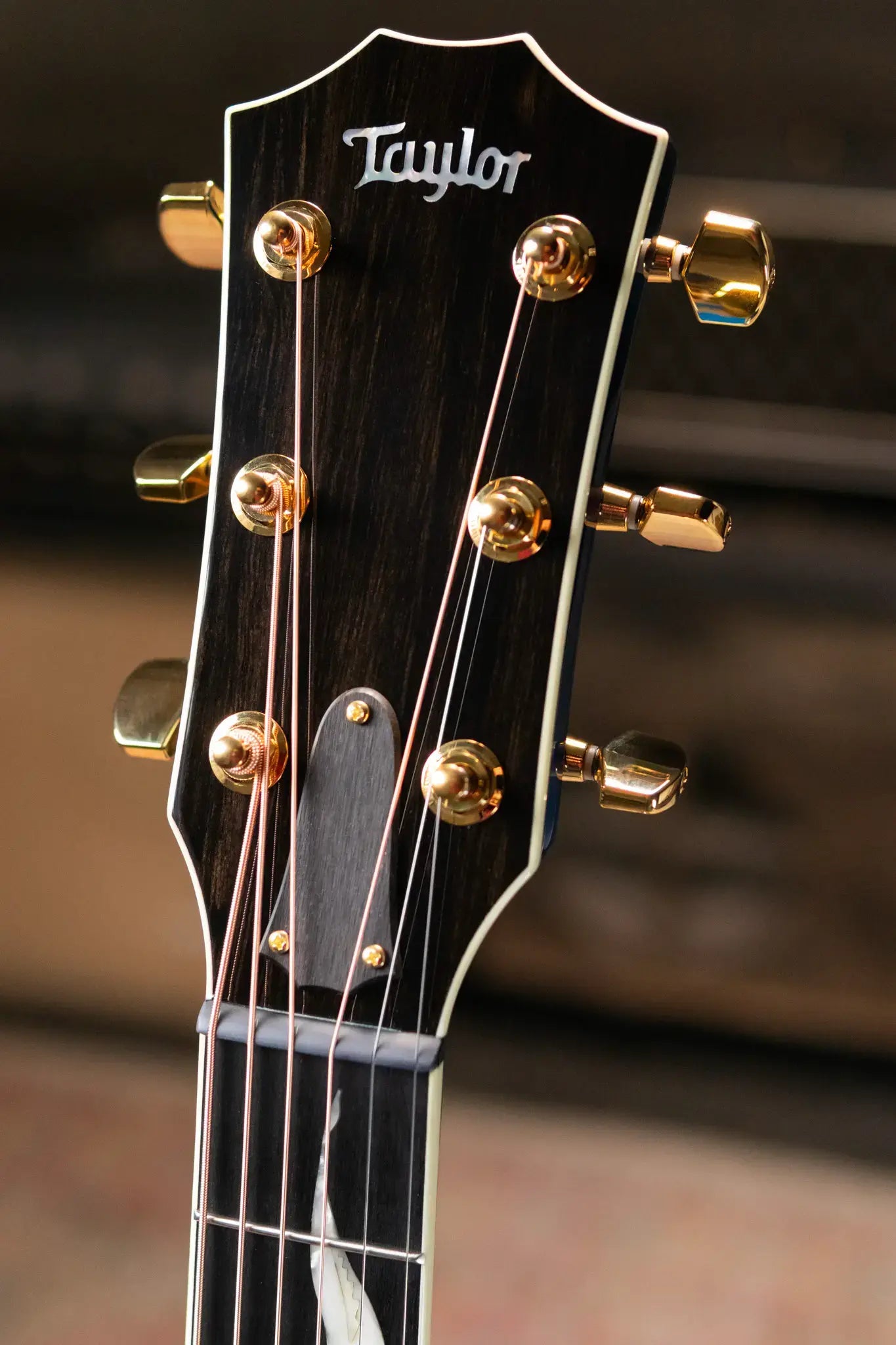 Taylor Custom Shop C17e 2025 Catch Event #41 Grand Pacific Acoustic/Electric Guitar - Living Blue Jewel with Circa 74 Amp and Hardshell Case - Floor Model
