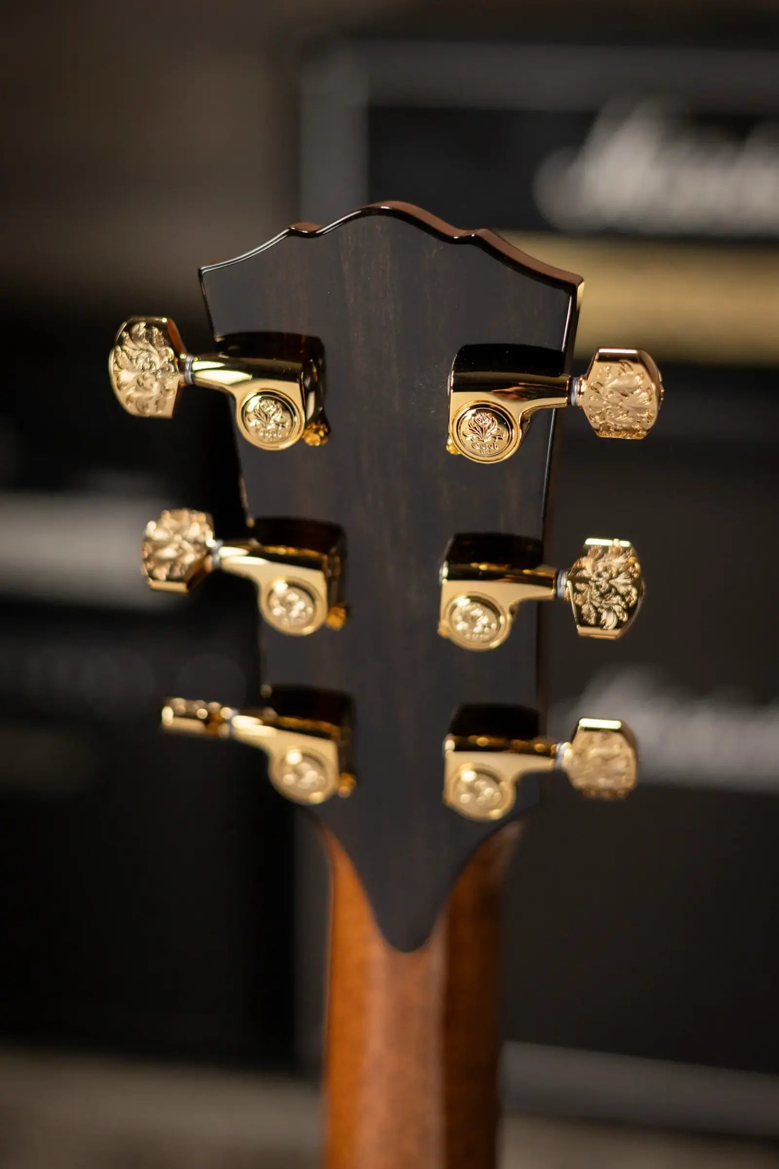 Taylor Custom Shop C17e B6040 2026 Catch Custom #40 Gold Label Grand Pacific Acoustic/Electric Guitar with Hardshell Case