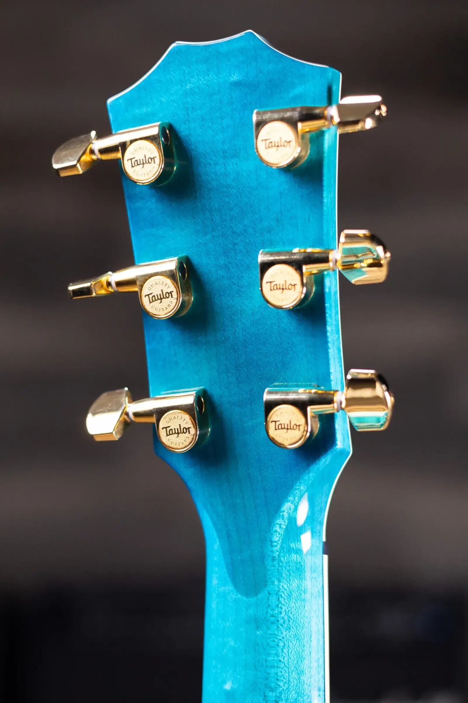 Taylor Custom Shop C17e Koi Fish Grand Pacific Acoustic/Electric Guitar - Living Blue Jewel with Hardshell Case