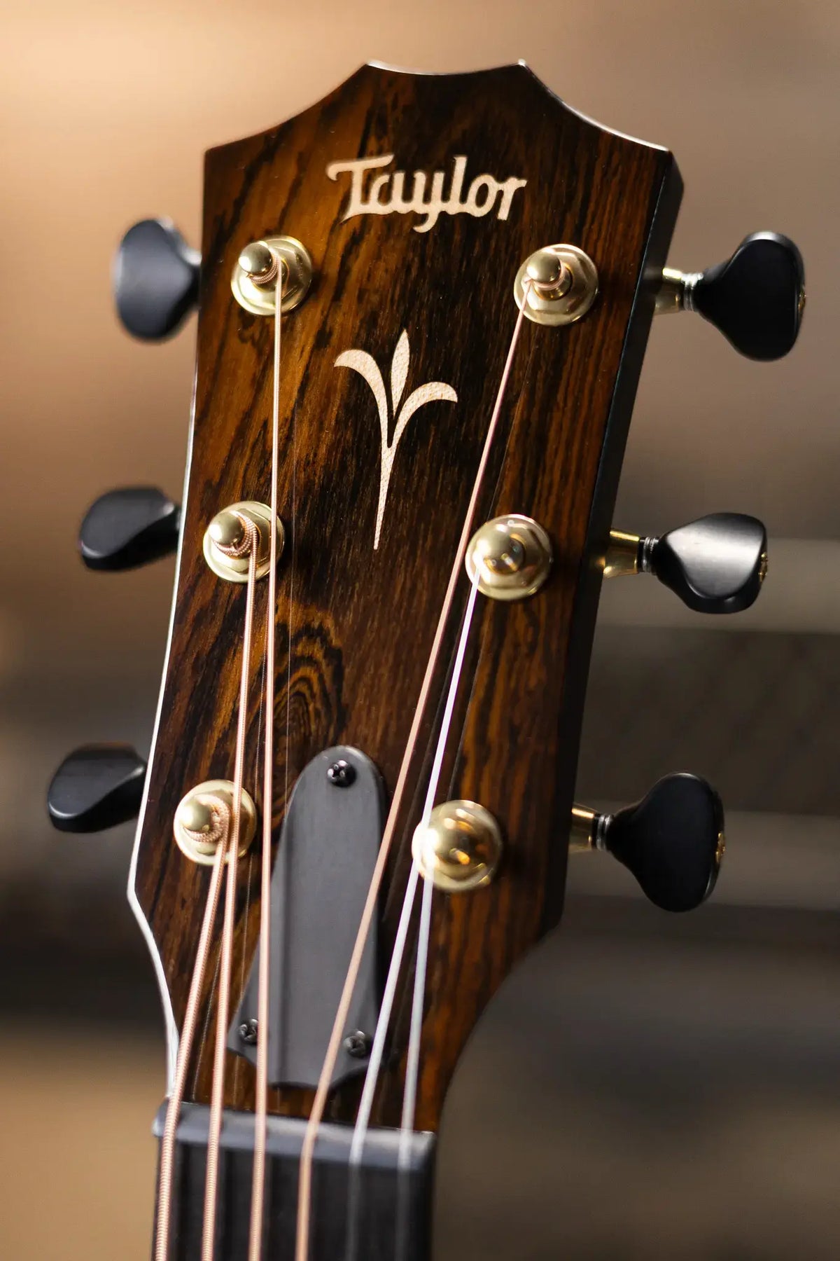 Taylor Custom Shop C18ce B5020 Catch Event #20 Grand Orchestra Acoustic/Electric Guitar - Bocote/Torrefied Sitka with Hardshell Case