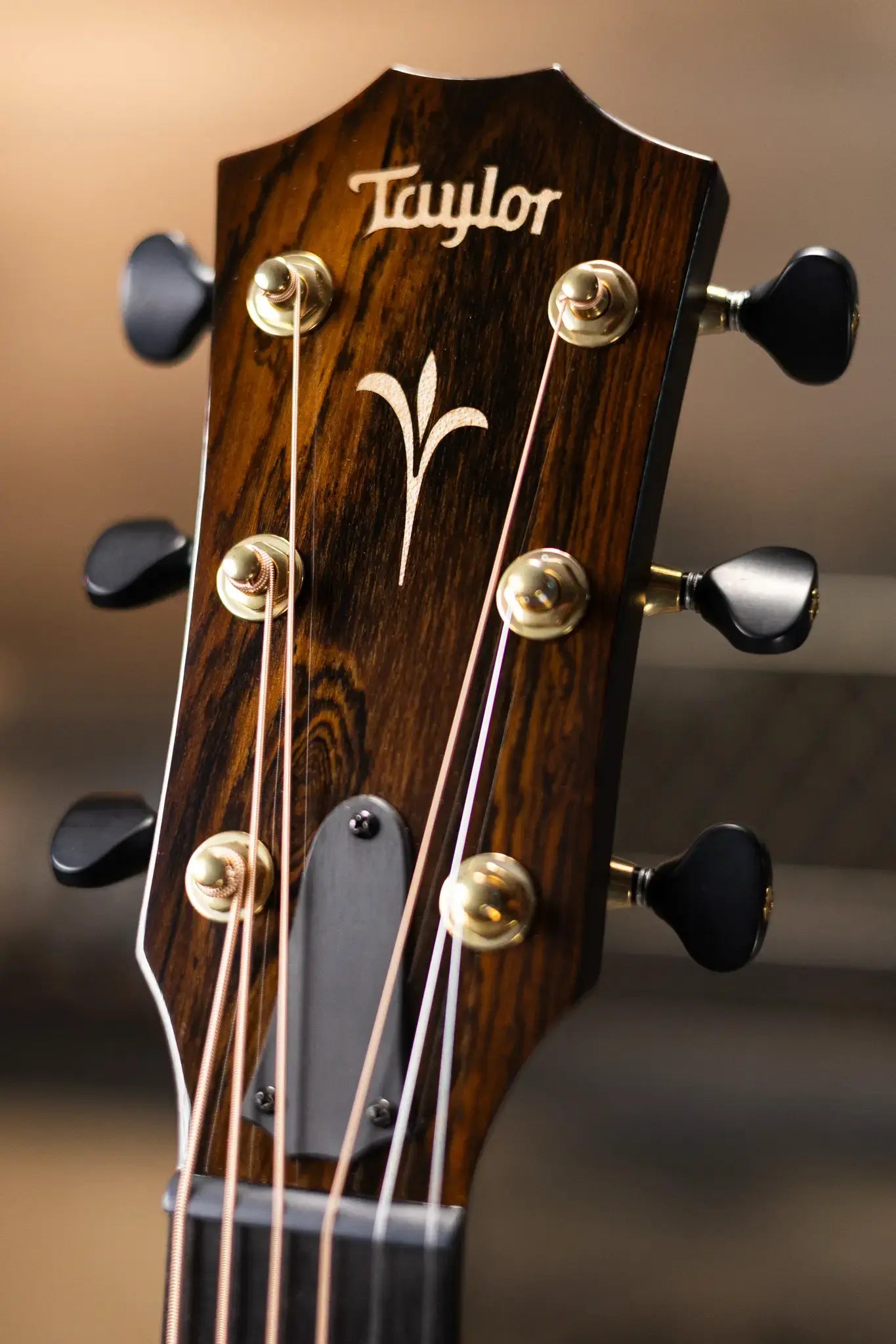 Taylor Custom Shop C18ce B5020 Catch Event #20 Grand Orchestra Acoustic/Electric Guitar - Bocote/Torrefied Sitka with Hardshell Case