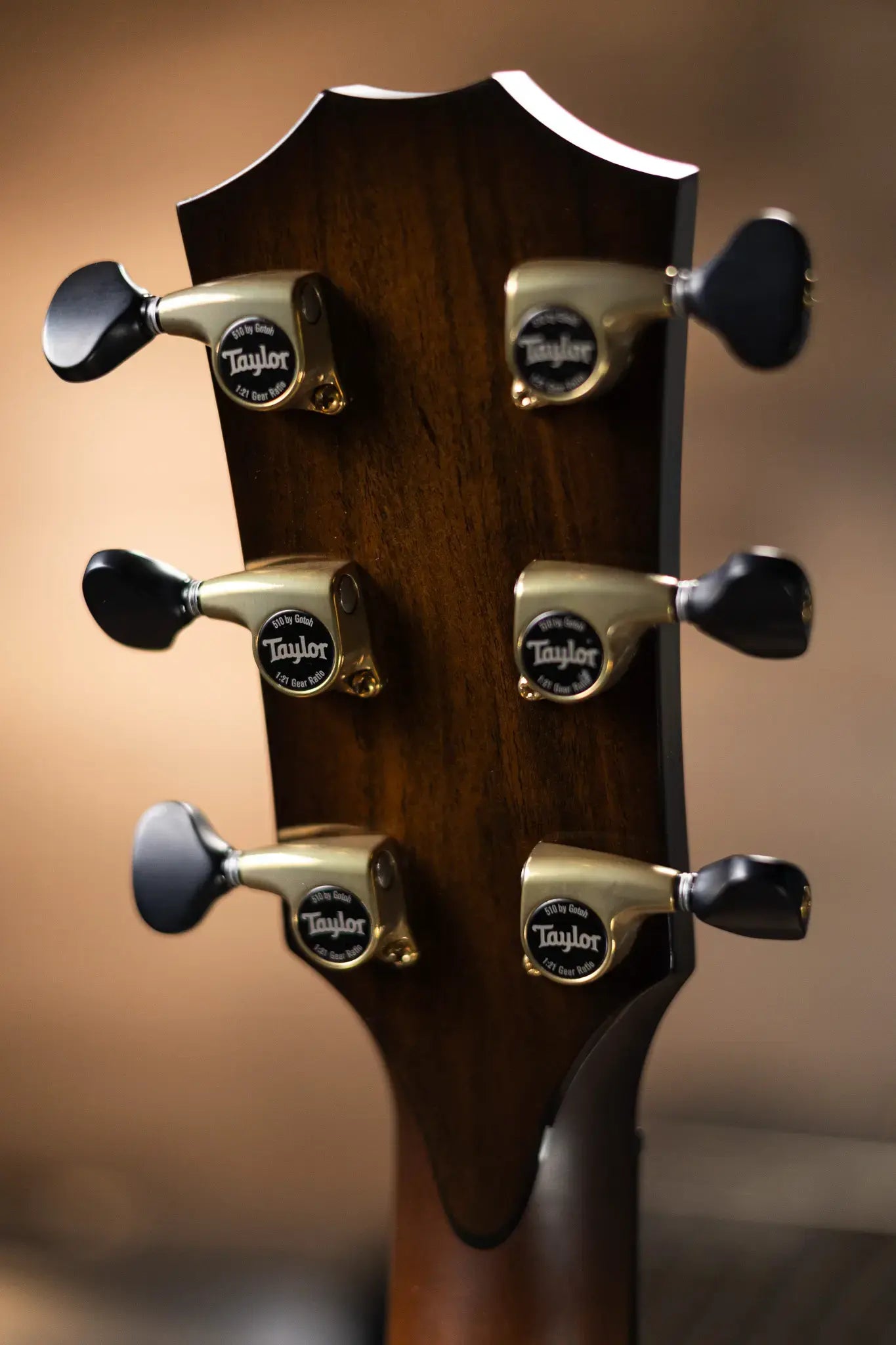 Taylor Custom Shop C18ce B5020 Catch Event #20 Grand Orchestra Acoustic/Electric Guitar - Bocote/Torrefied Sitka with Hardshell Case