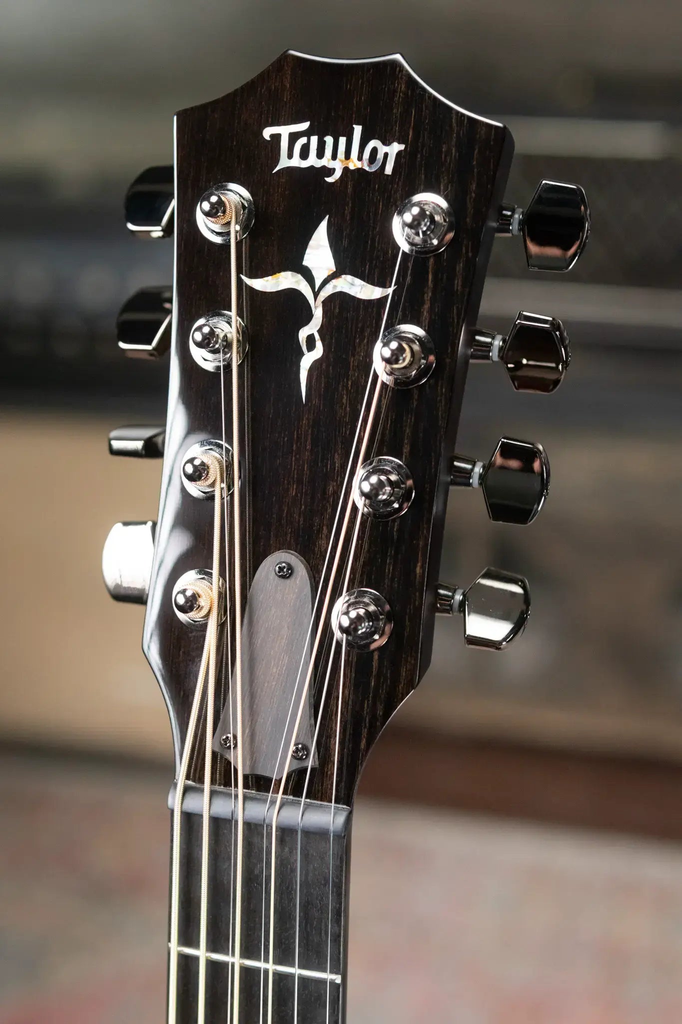 Taylor Custom Shop C24e Grand Auditorium Baritone-8 8-String Acoustic/Electric Guitar - Figured Blackwood with Hardshell Case