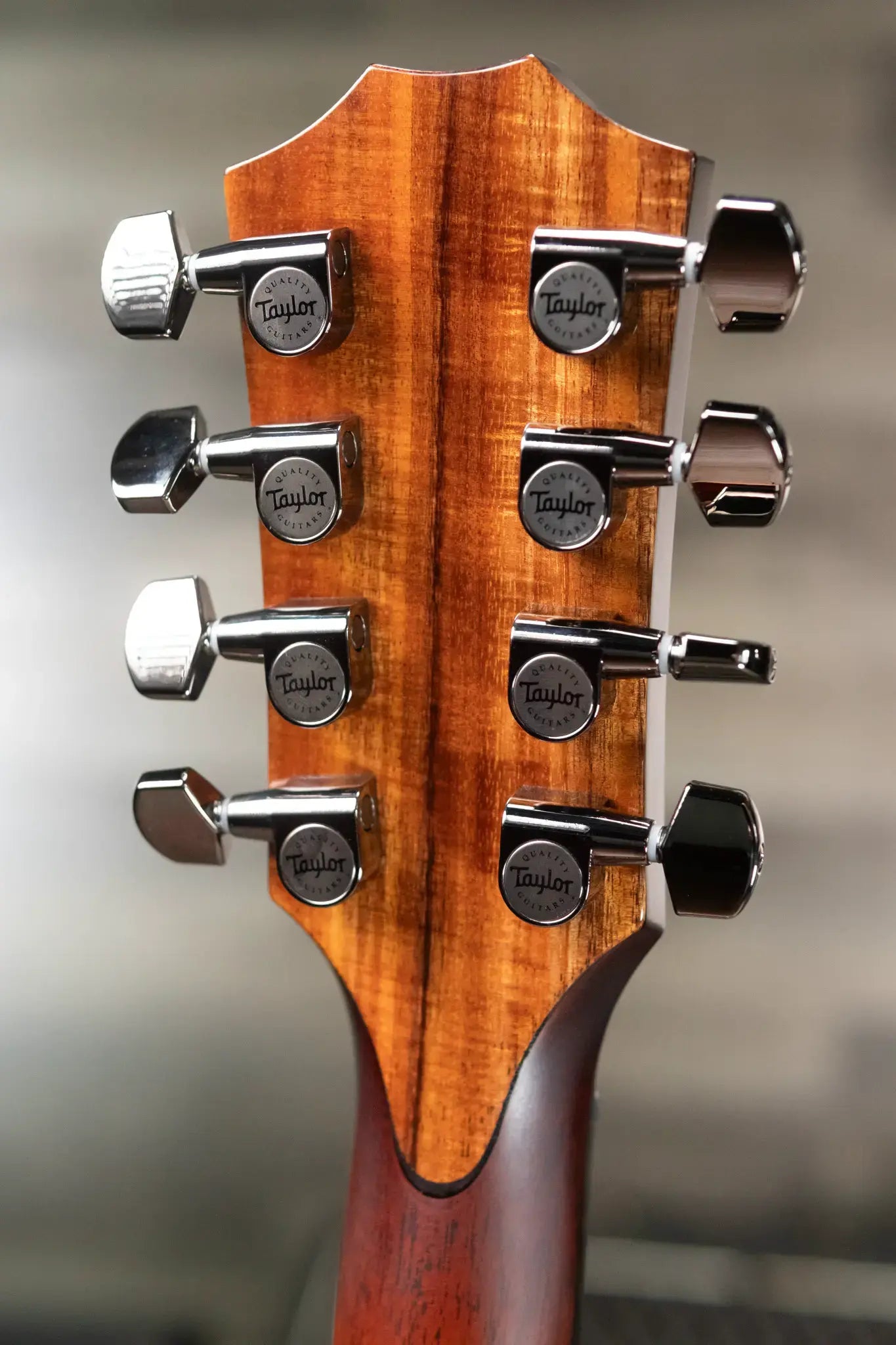 Taylor Custom Shop C24e Grand Auditorium Baritone-8 8-String Acoustic/Electric Guitar - Figured Blackwood with Hardshell Case