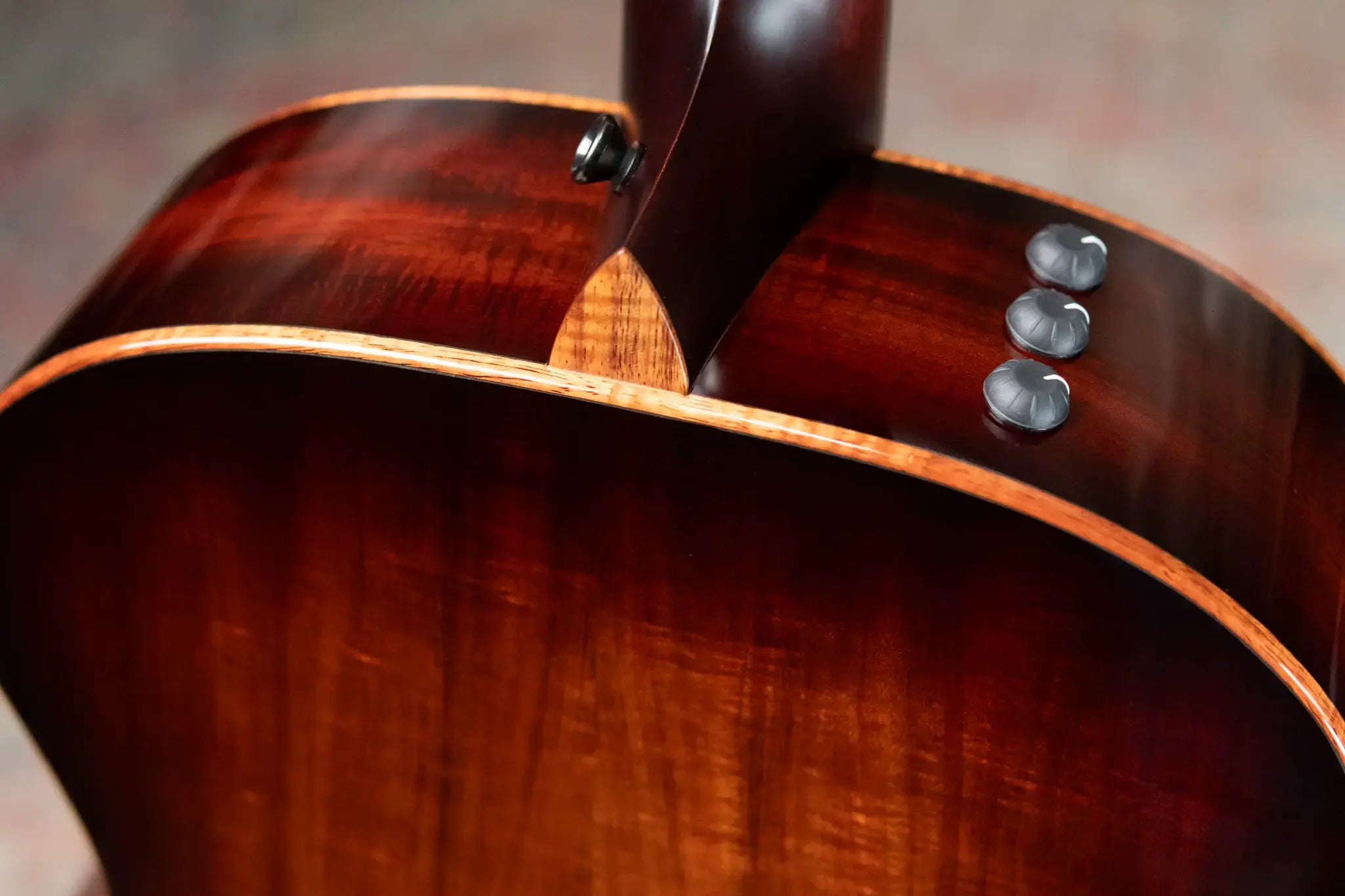 Taylor Custom Shop C24e Grand Auditorium Baritone-8 8-String Acoustic/Electric Guitar - Figured Blackwood with Hardshell Case