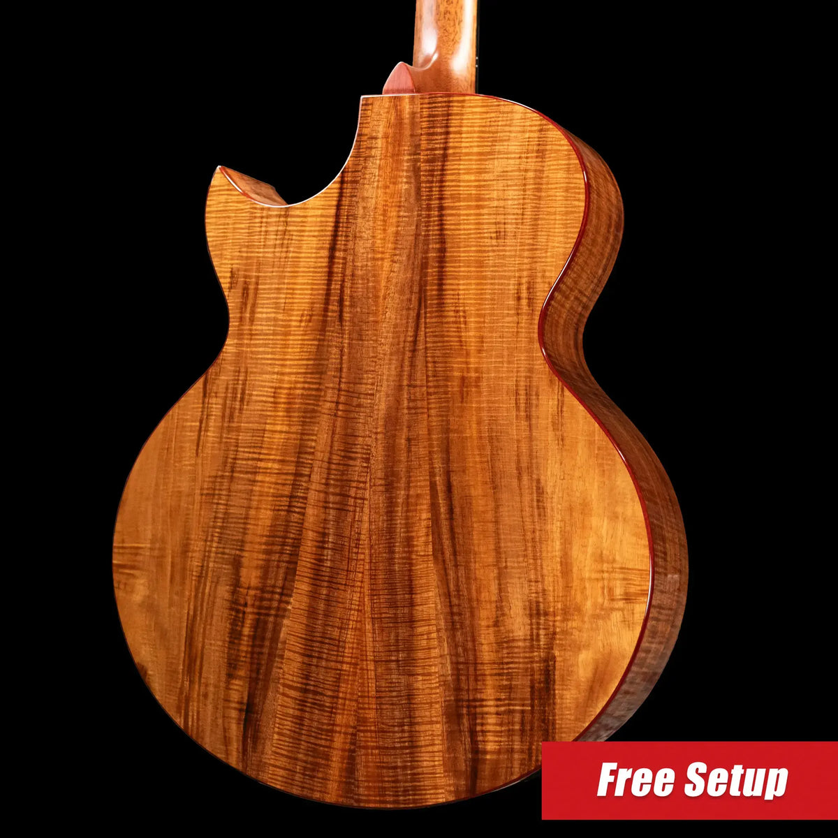 Taylor Custom Shop C25ce B6005 2026 Catch Custom #5 Jumbo Acoustic/Electric Guitar with Hardshell Case