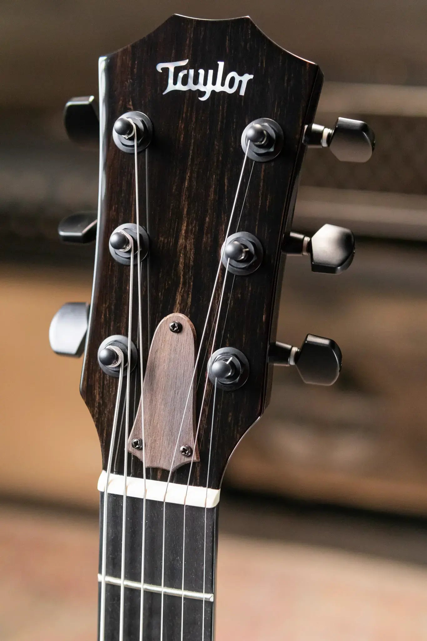 Taylor Custom Shop CT5z B5009 2025 Catch Event #9 Electric Guitar - Holographic Pearl with Hardshell Case