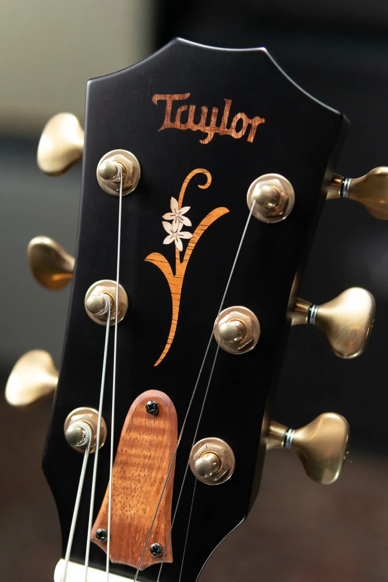 Taylor Custom Shop T5z Custom #C0957 Hawaiian Koa/Shamel Ash Hollow Body Electric Guitar with Hardshell Case
