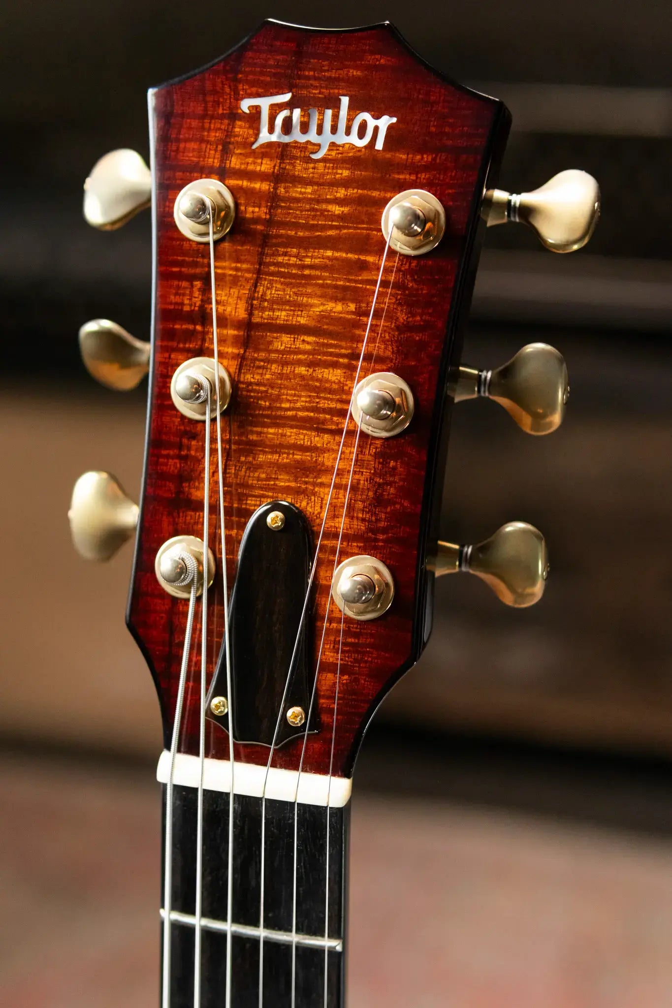 Taylor Custom T5z Koa Electric Guitar - Shaded Edge Burst with Hardshell Case - Used