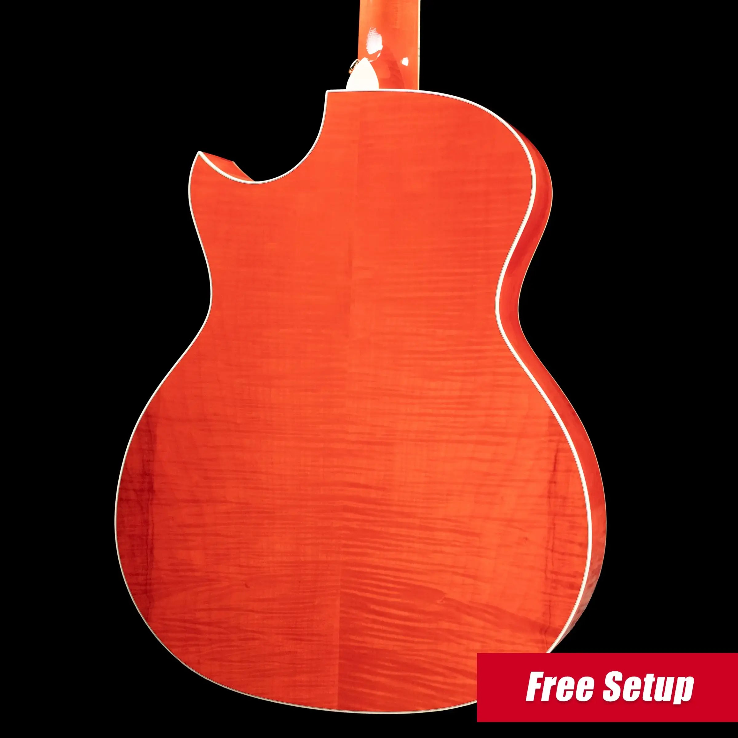 Taylor Doyle Dykes Signature Model Thin Body Grand Auditorium Acoustic/Electric Guitar with Hardshell Case