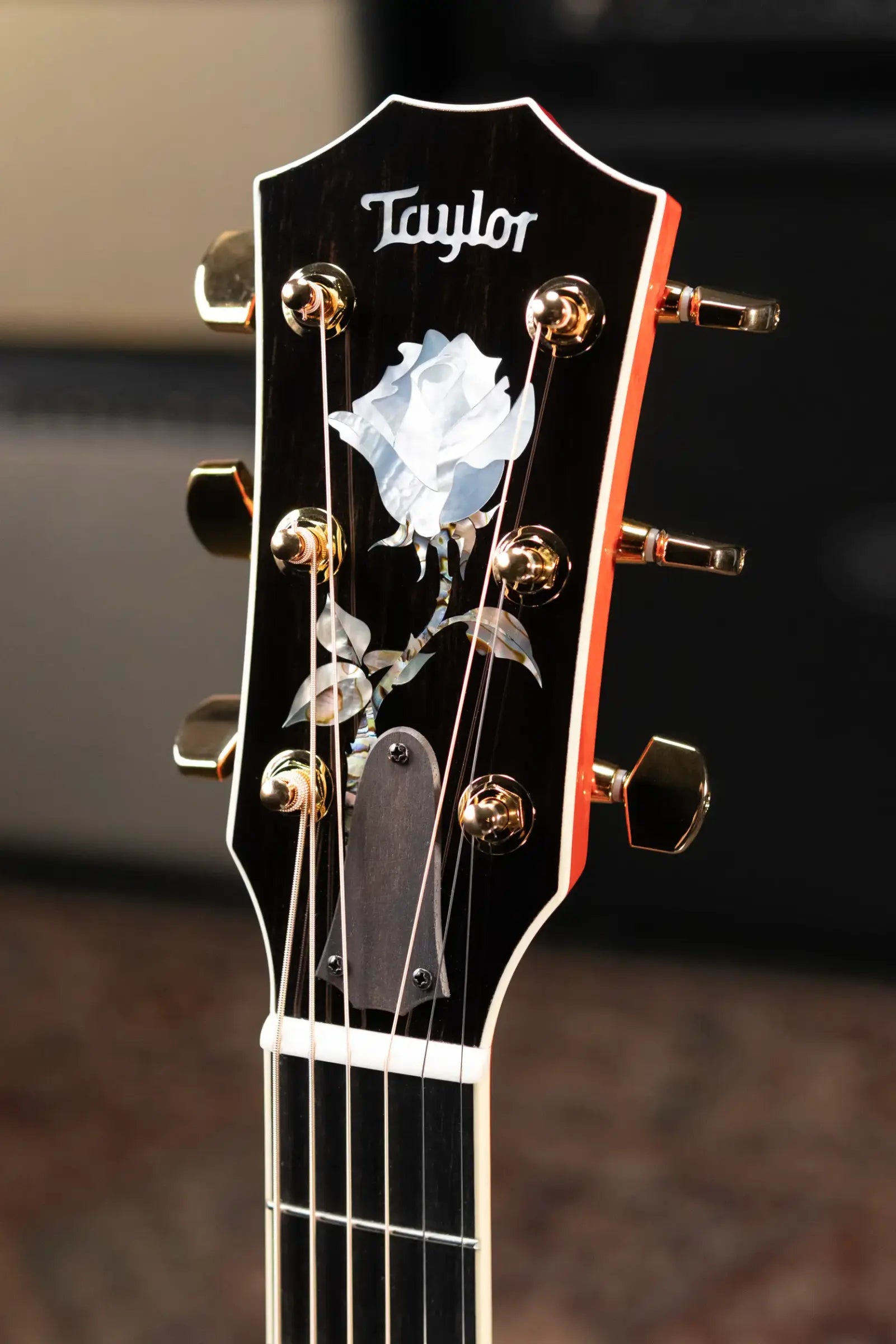 Taylor Doyle Dykes Signature Model Thin Body Grand Auditorium Acoustic/Electric Guitar with Hardshell Case