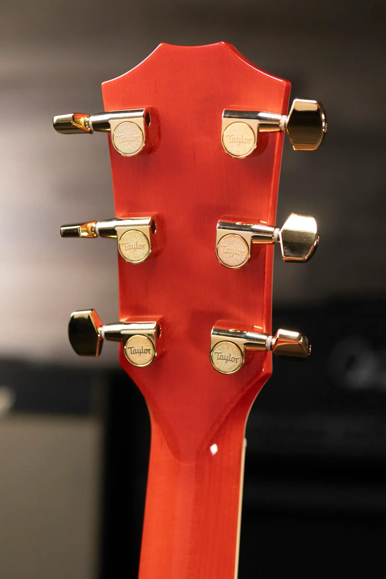 Taylor Doyle Dykes Signature Model Thin Body Grand Auditorium Acoustic/Electric Guitar with Hardshell Case