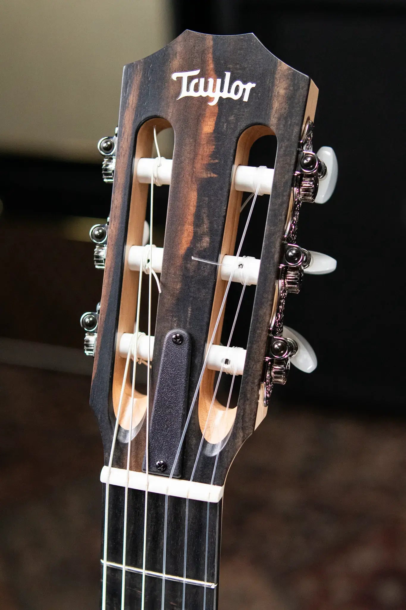 Taylor EG-12e-N LTD Academy Lutz Spruce/Maple Grand Concert Acoustic/Electric Guitar with Gig Bag - Demo