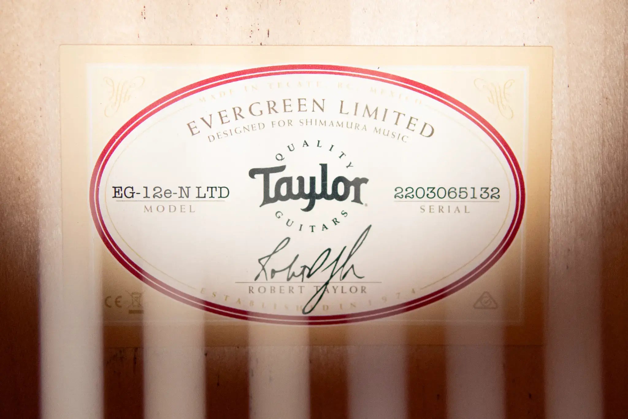 Taylor EG-12e-N LTD Academy Lutz Spruce/Maple Grand Concert Acoustic/Electric Guitar with Gig Bag - Demo