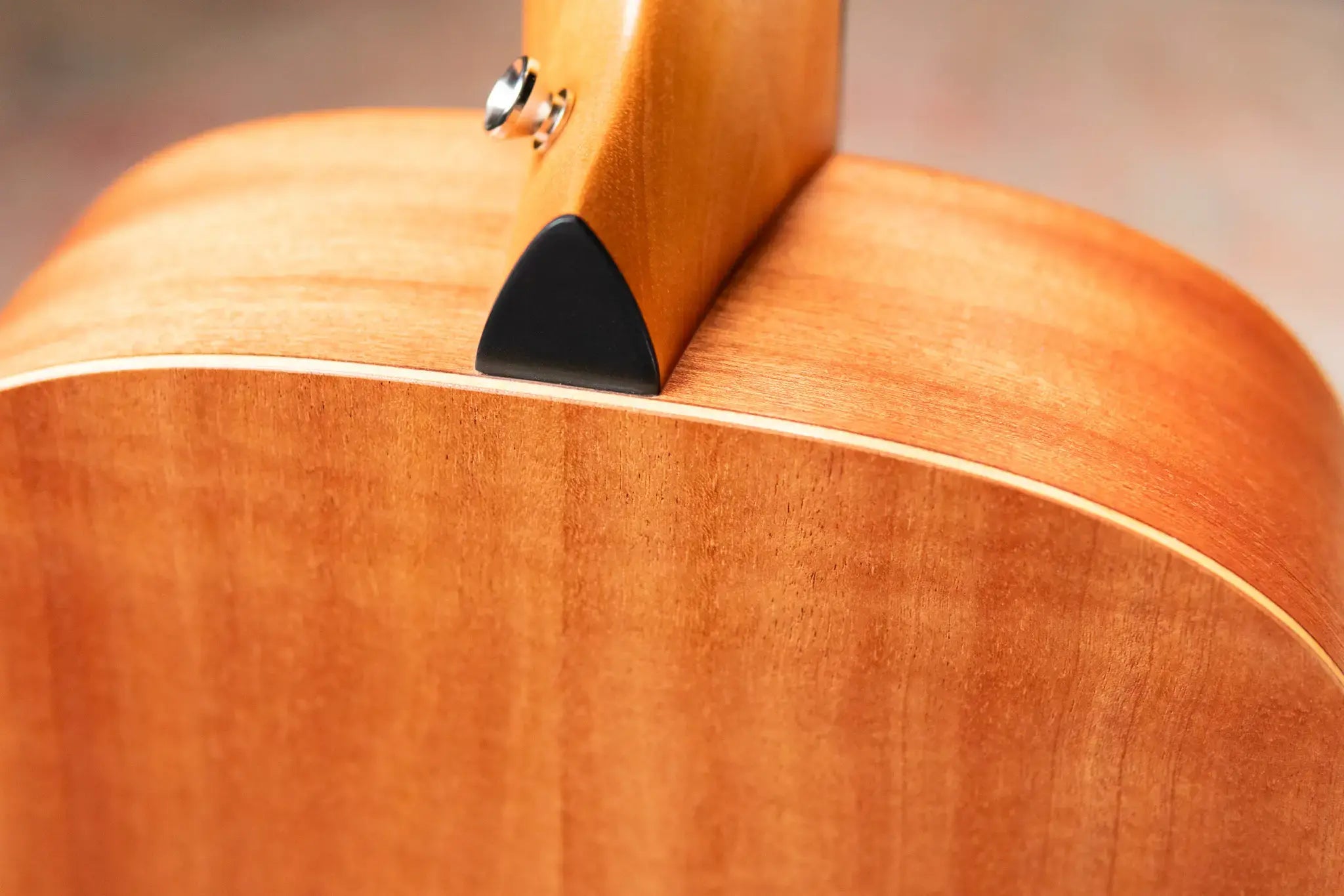 Taylor GS Mini Mahogany Acoustic Guitar with GS Mini Bag