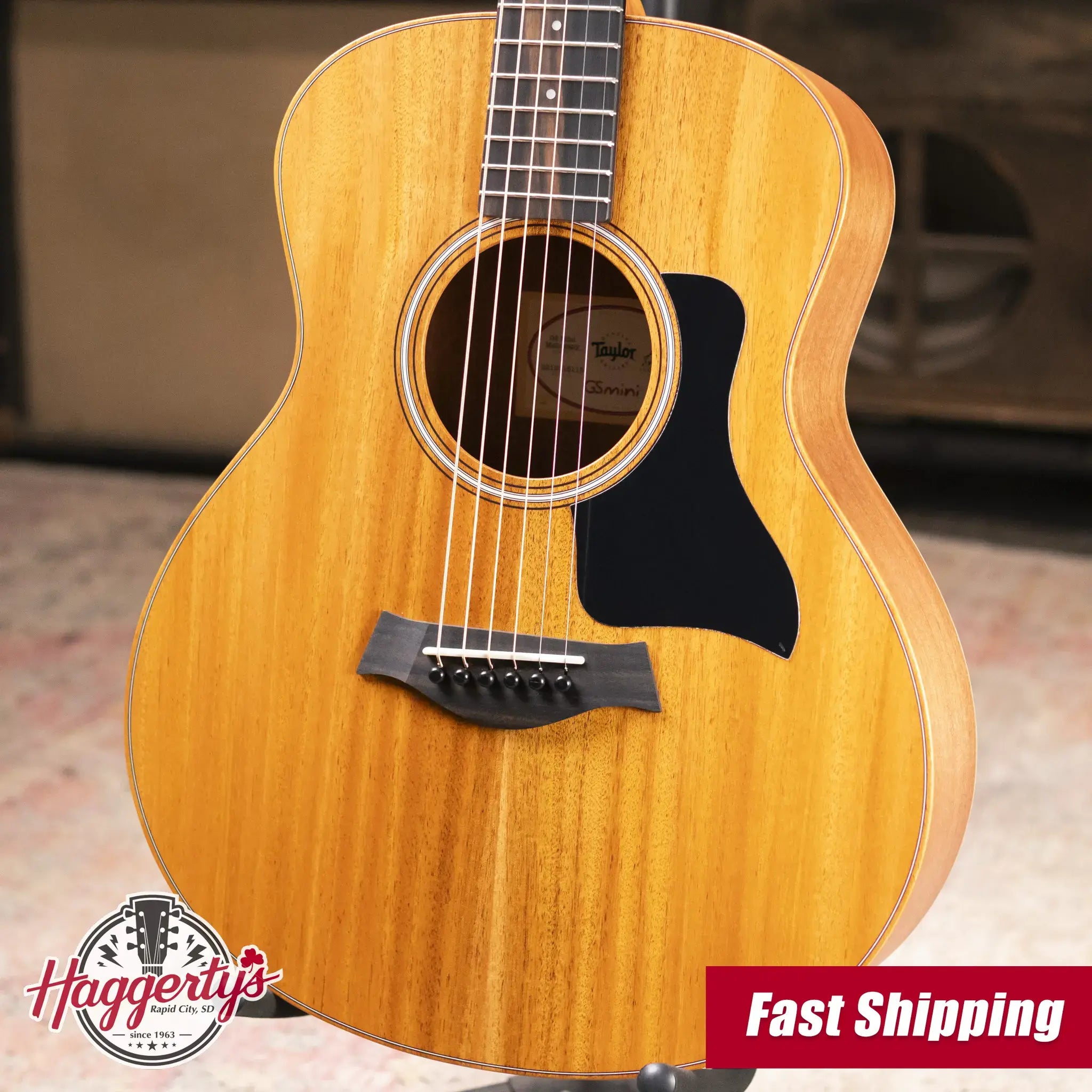 Taylor GS Mini Mahogany Acoustic Guitar with Gig Bag