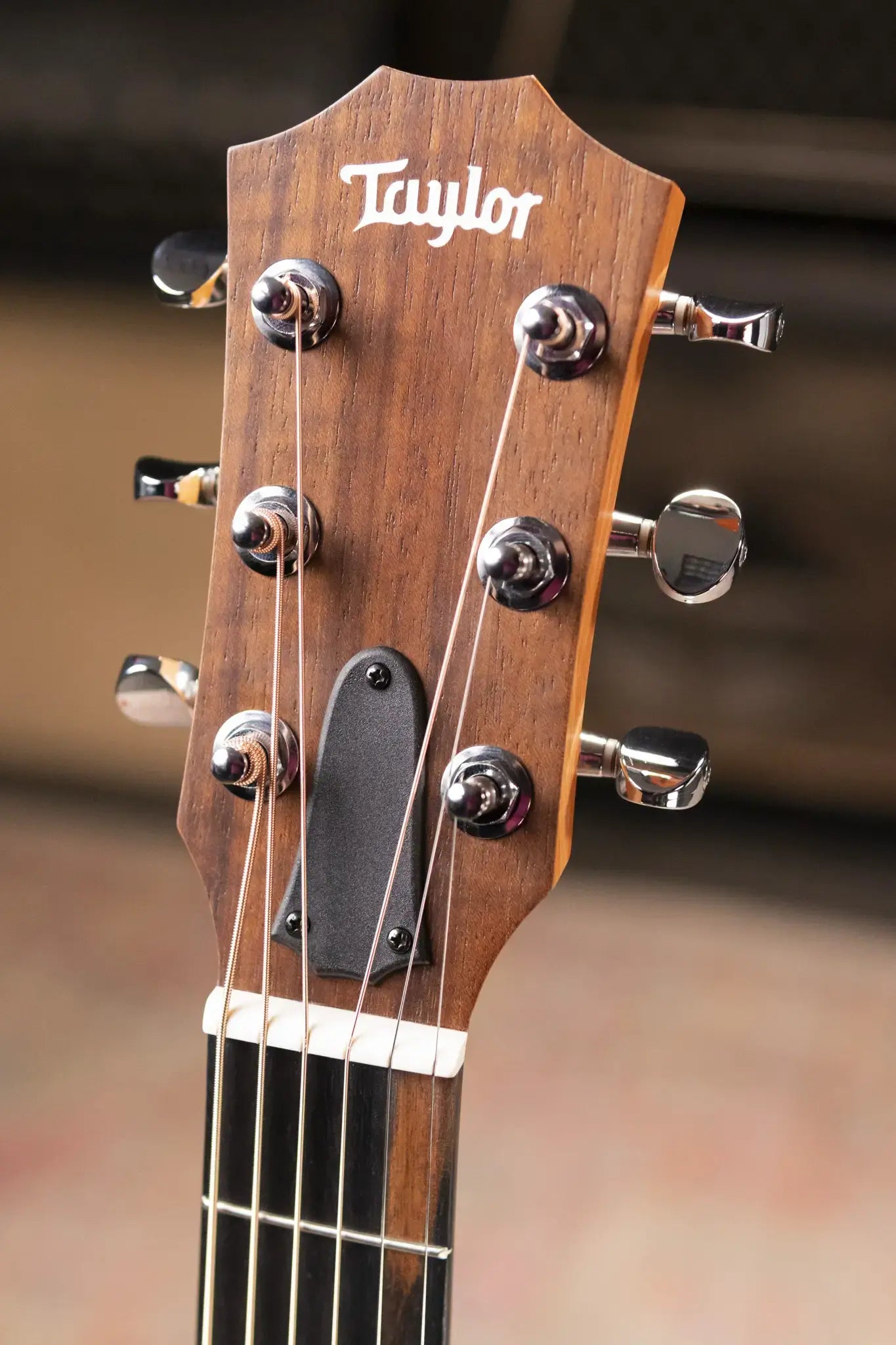 Taylor GS Mini Mahogany Acoustic Guitar with Gig Bag
