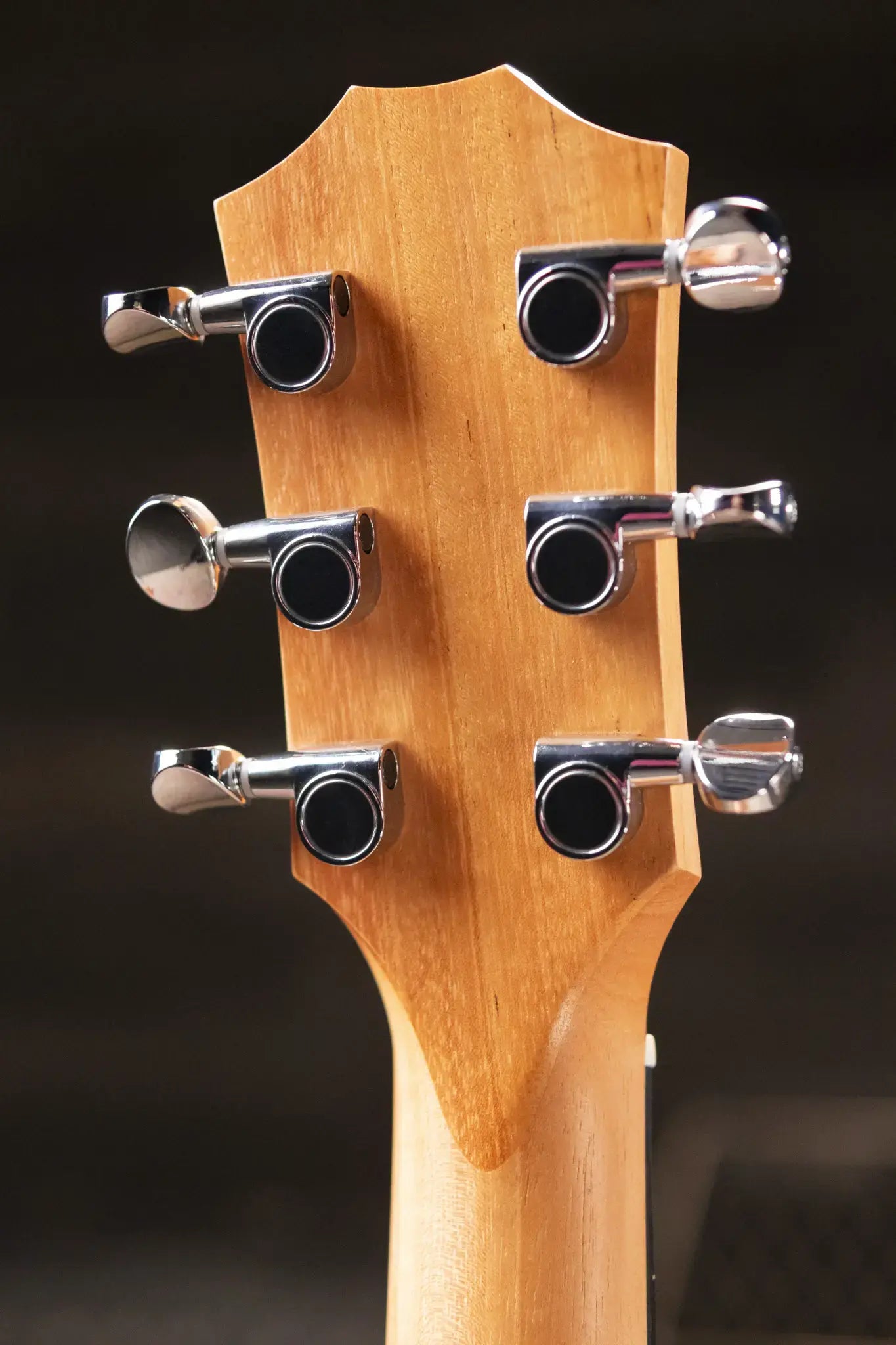 Taylor GS Mini Mahogany Acoustic Guitar with Gig Bag