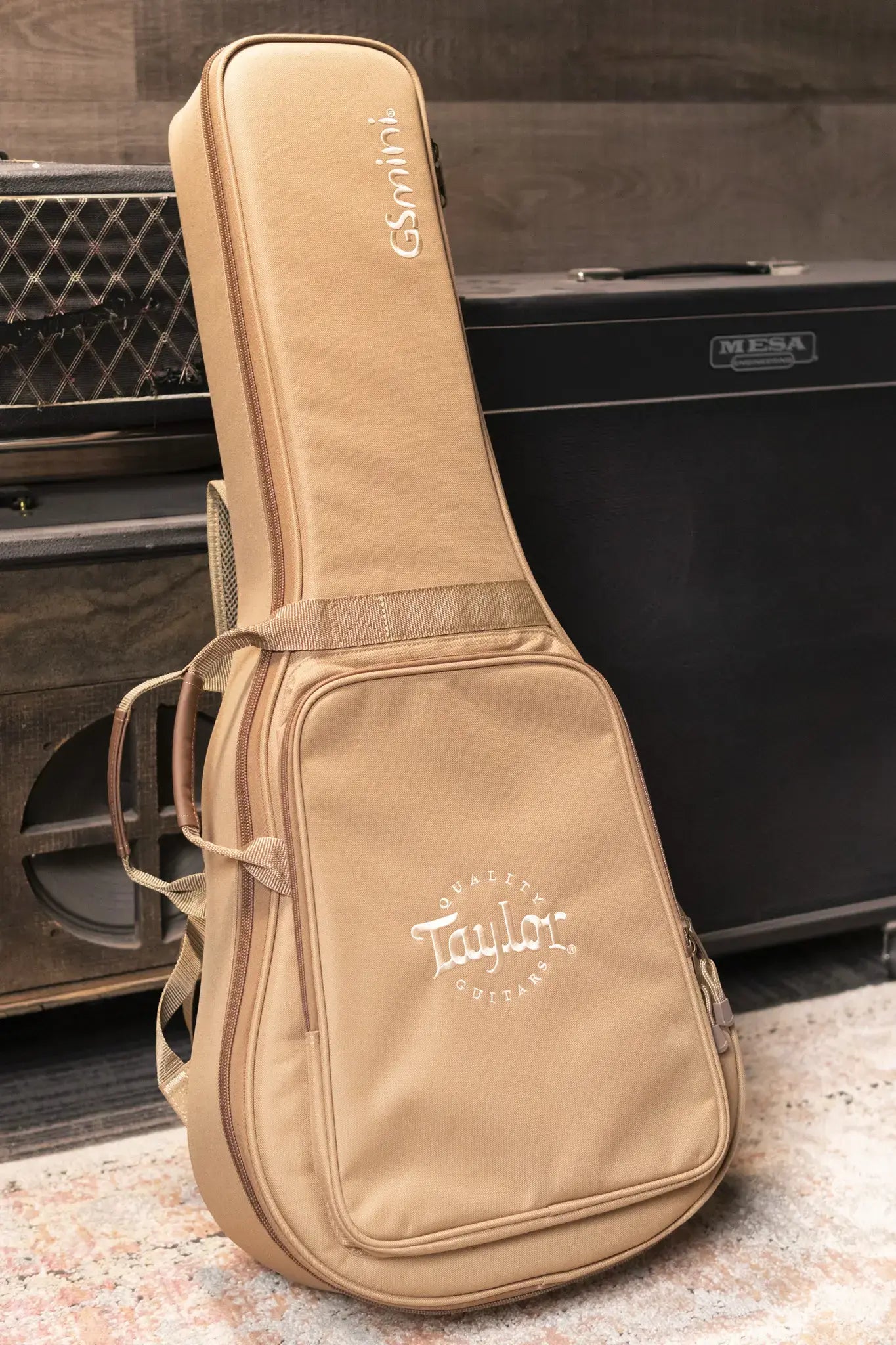 Taylor GS Mini Mahogany Acoustic Guitar with Gig Bag