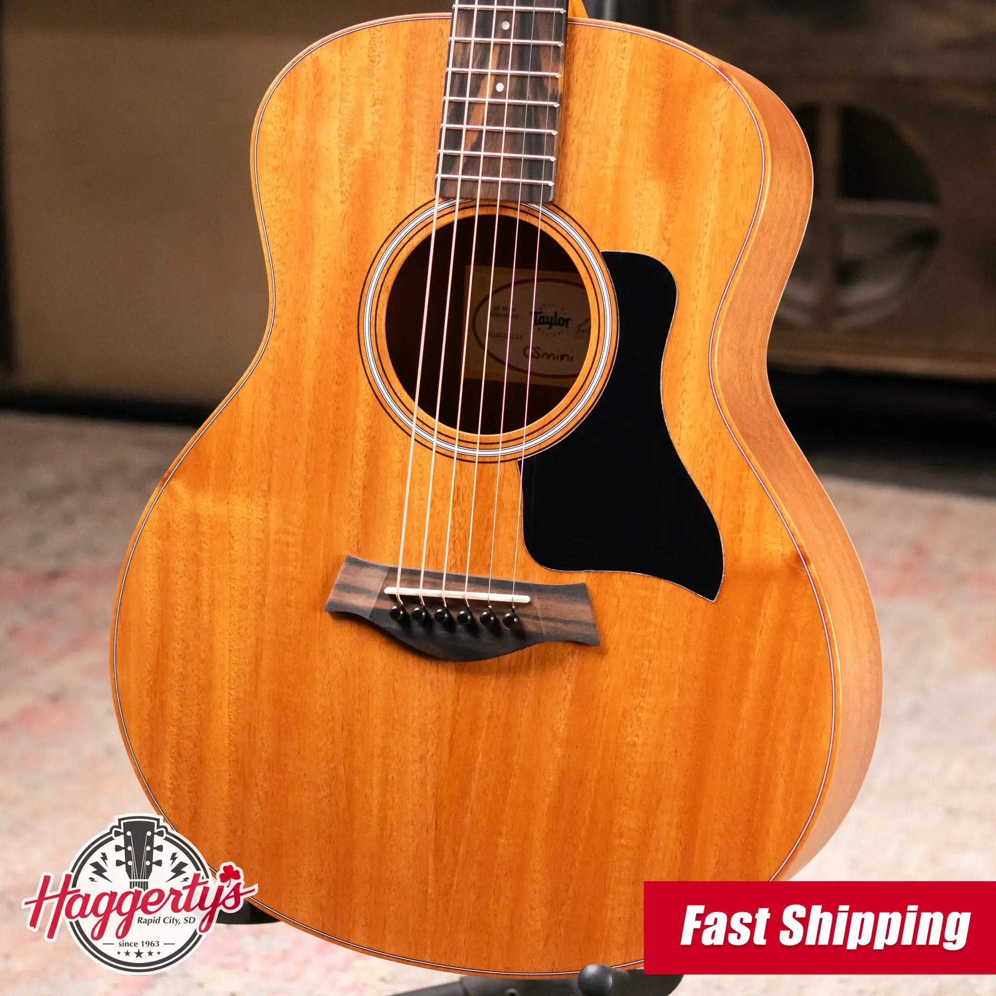 Taylor GS Mini Mahogany Acoustic Guitar with Gig Bag