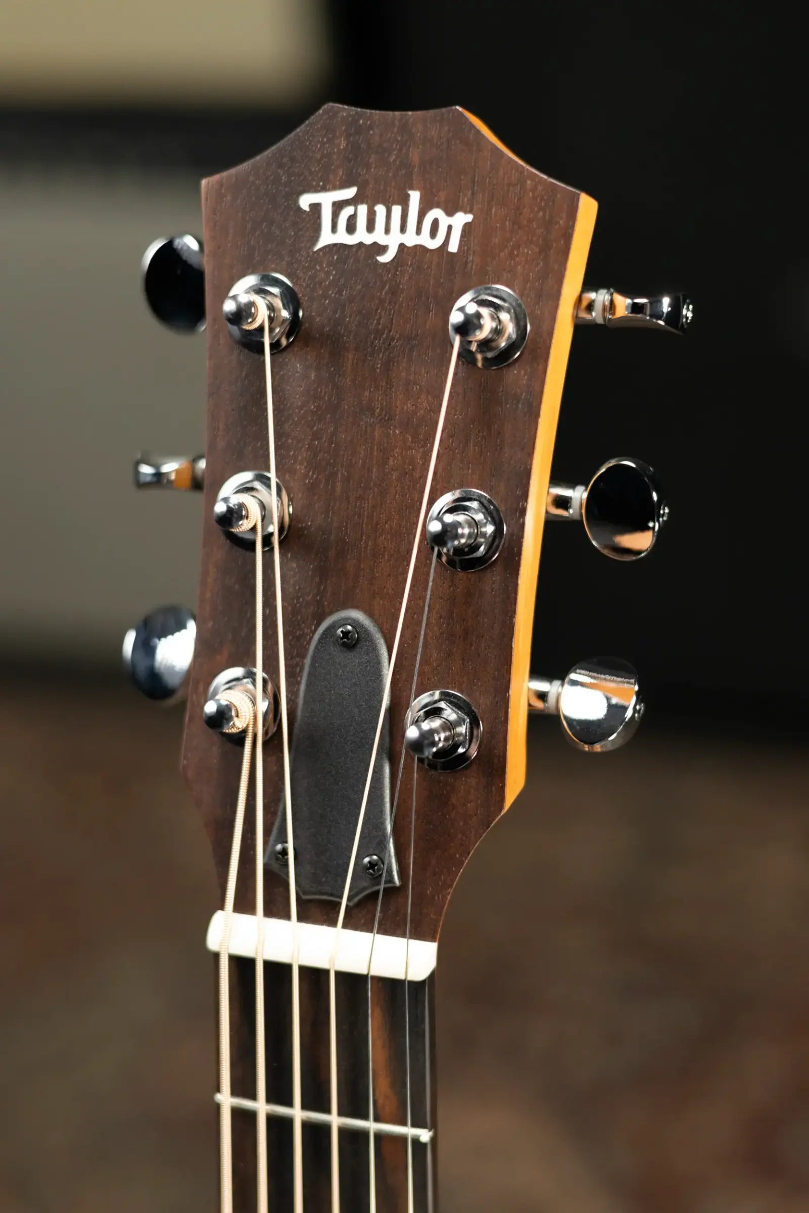 Taylor GS Mini Mahogany Acoustic Guitar with Gig Bag