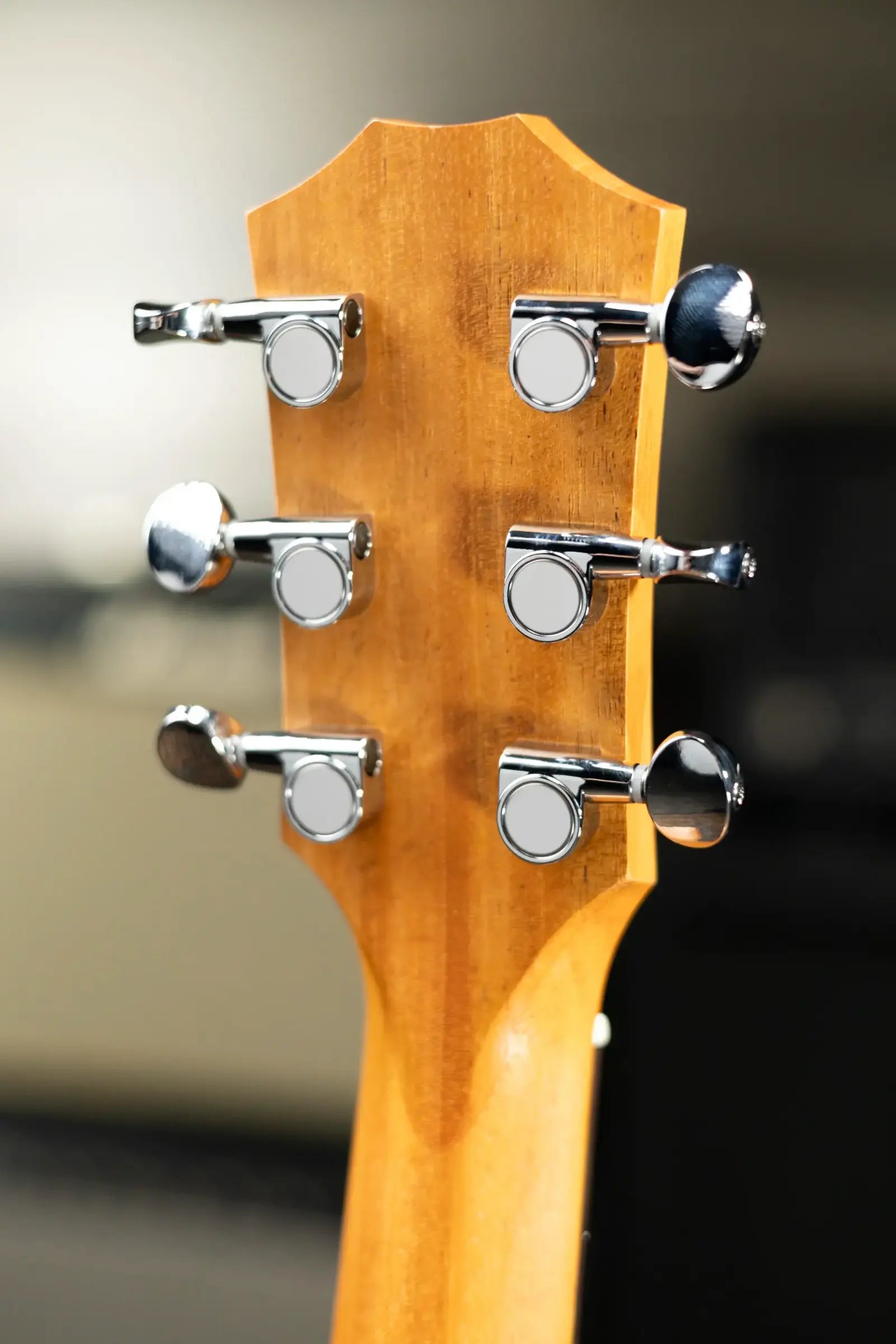 Taylor GS Mini Mahogany Acoustic Guitar with Gig Bag