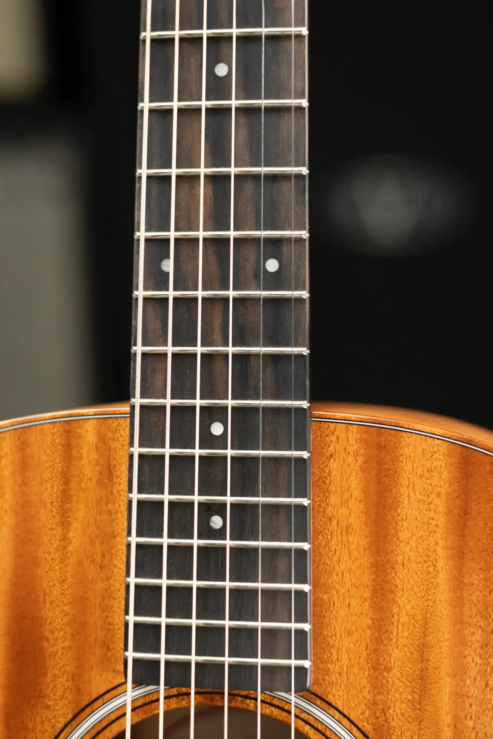 Taylor GS Mini Mahogany Acoustic Guitar with Gig Bag