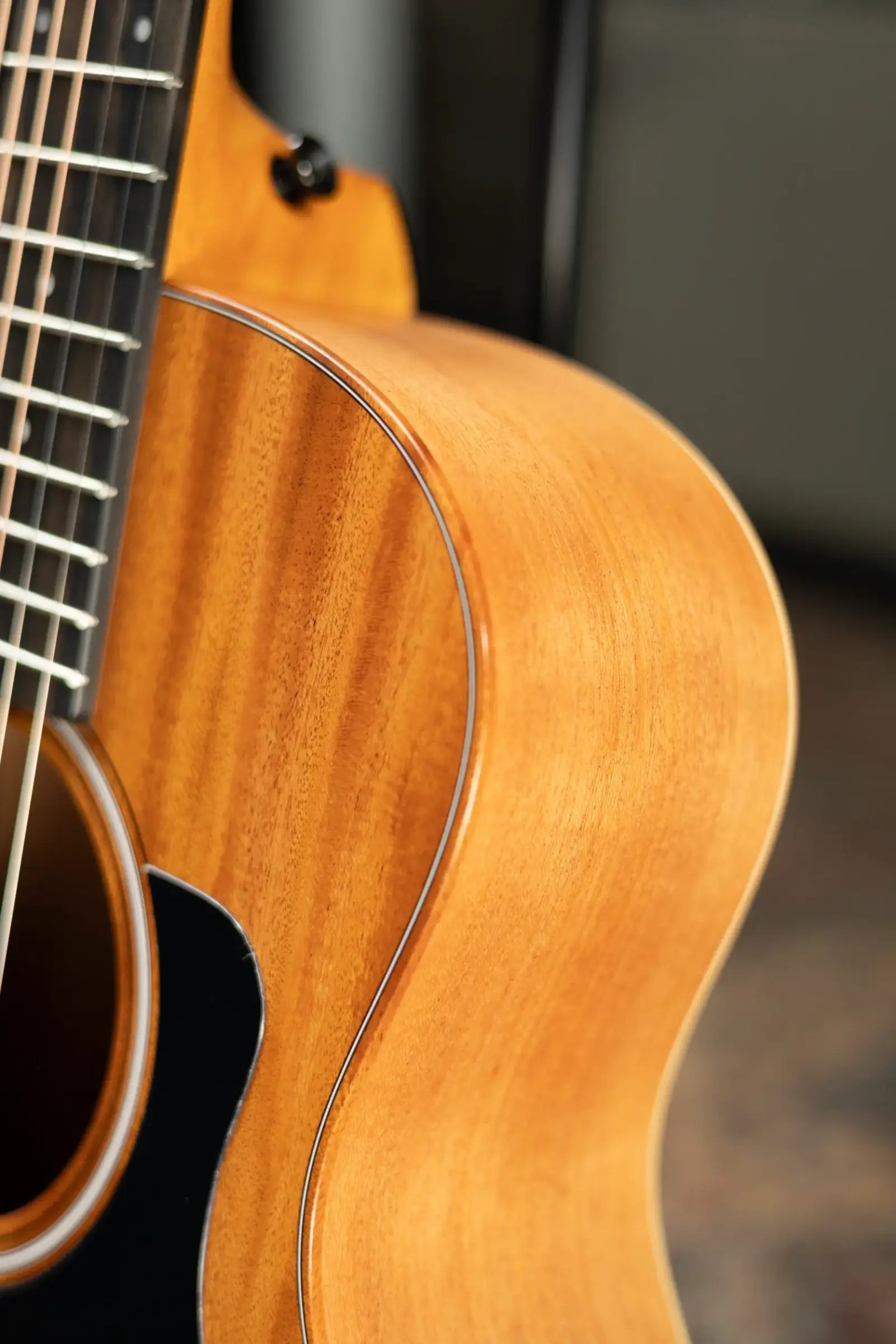 Taylor GS Mini Mahogany Acoustic Guitar with Gig Bag