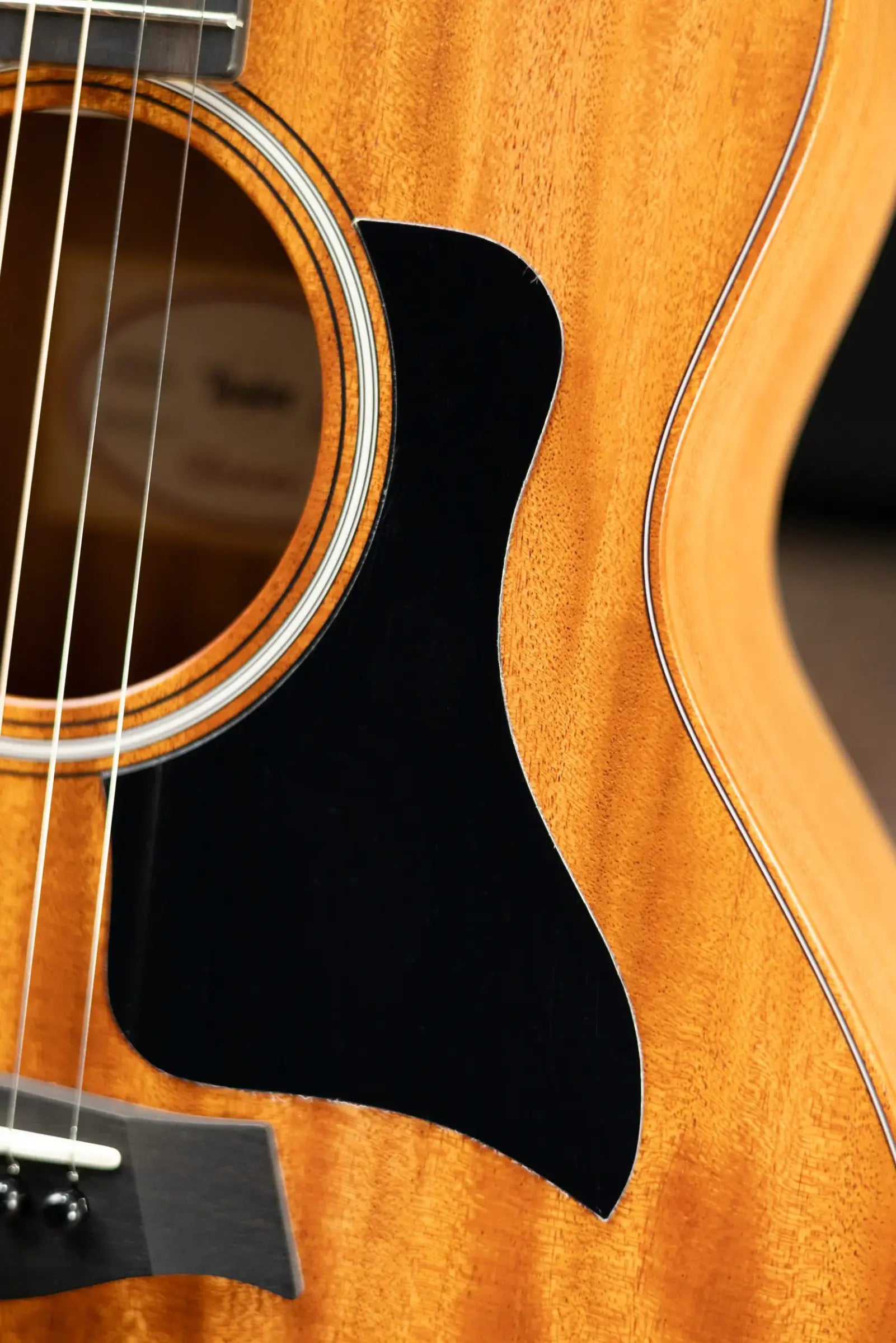 Taylor GS Mini Mahogany Acoustic Guitar with Gig Bag