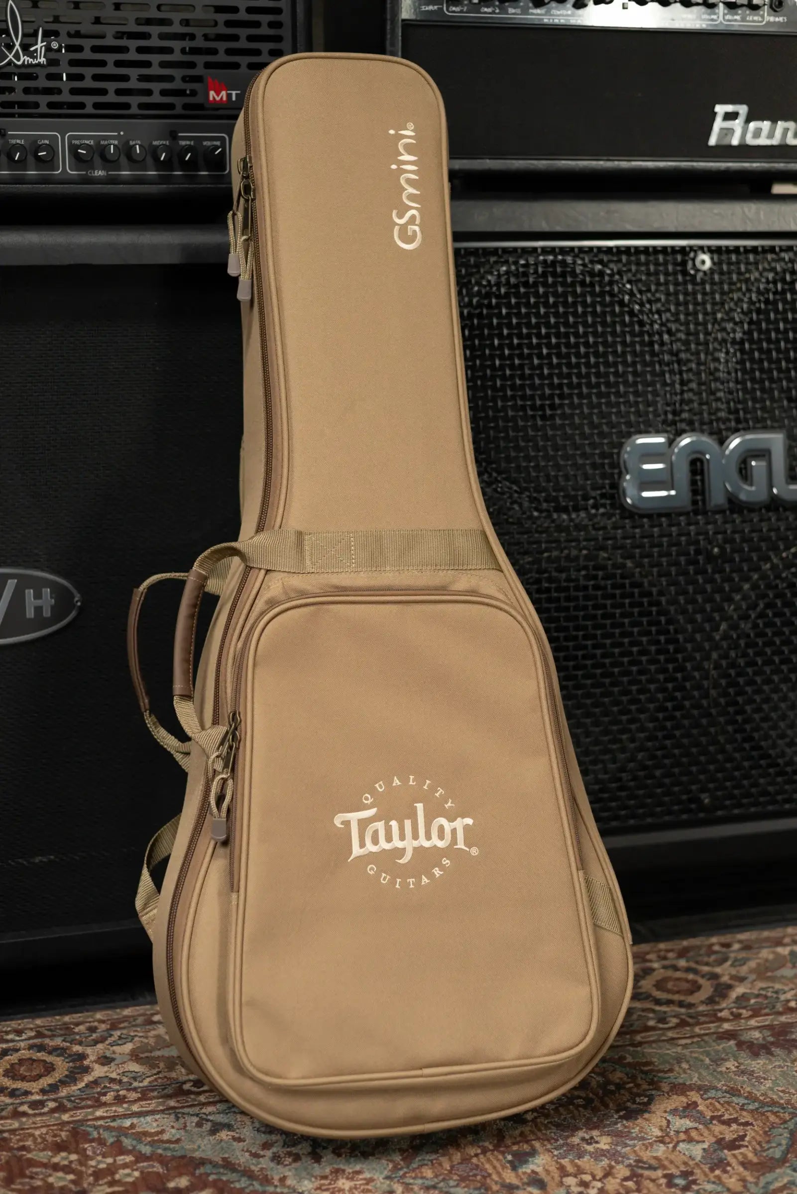 Taylor GS Mini Mahogany Acoustic Guitar with Gig Bag