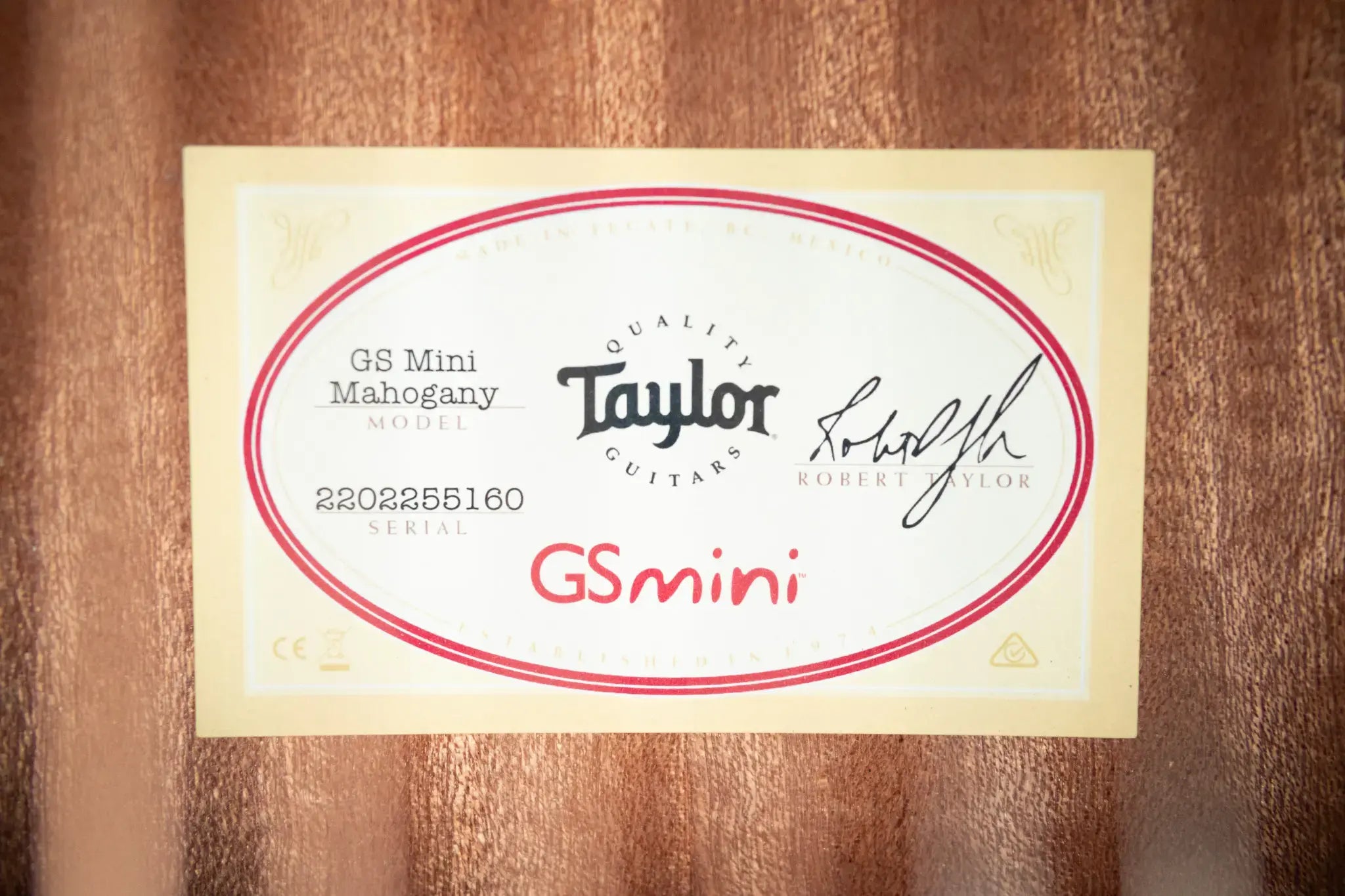 Taylor GS Mini Mahogany Acoustic Guitar with Structured Gig Bag