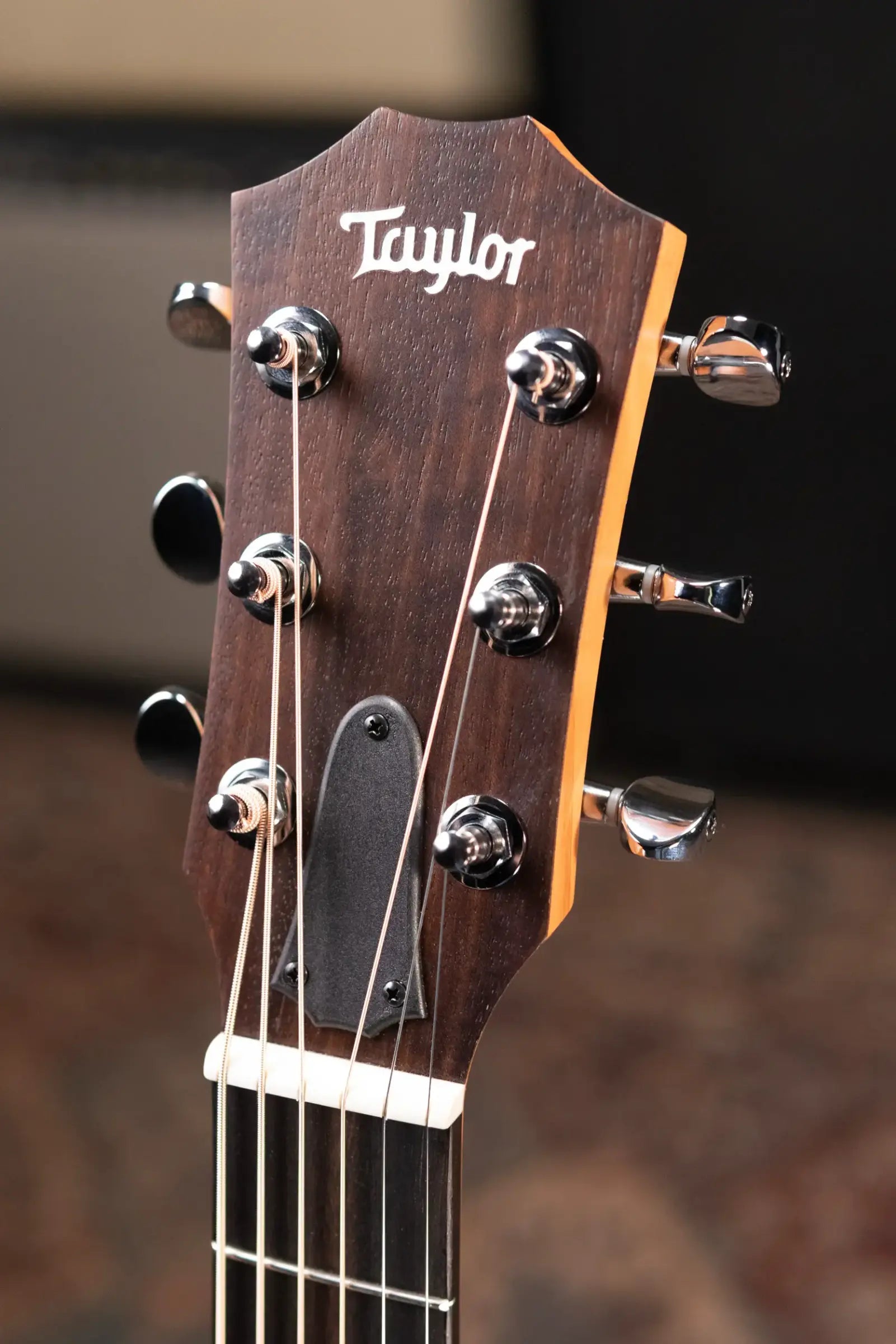 Taylor GS Mini Mahogany Acoustic Guitar with Gig Bag