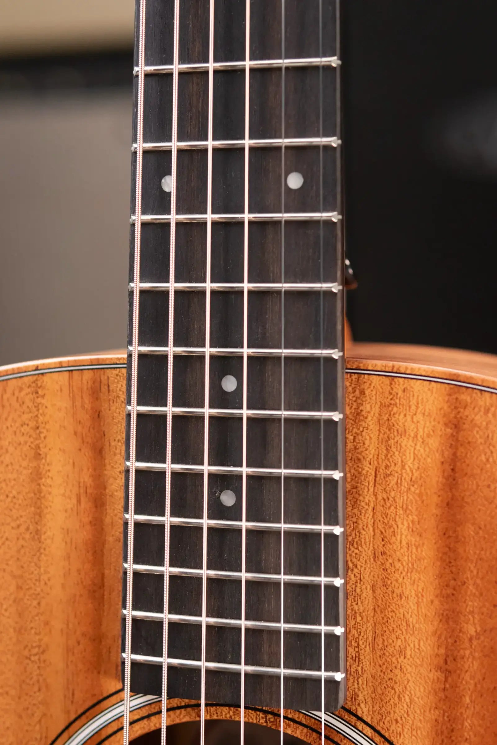 Taylor GS Mini Mahogany Acoustic Guitar with Gig Bag