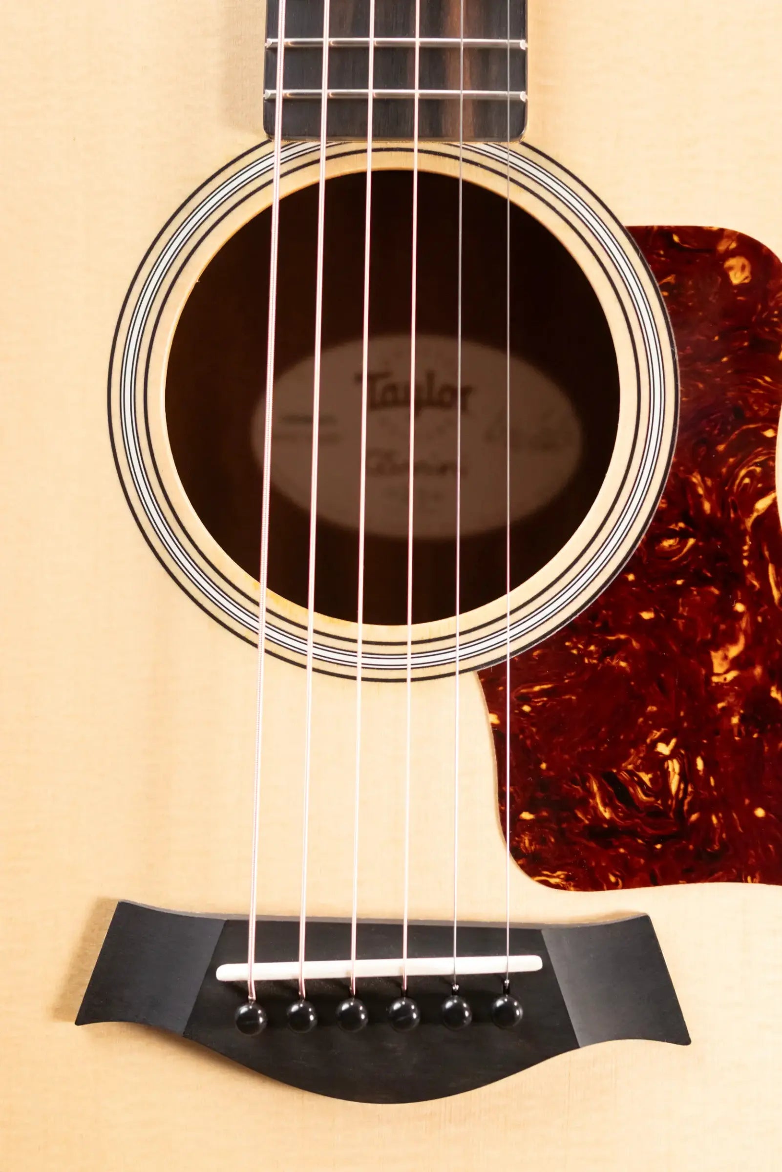 Taylor GS Mini Rosewood Acoustic Guitar with Structured Gig Bag - Used