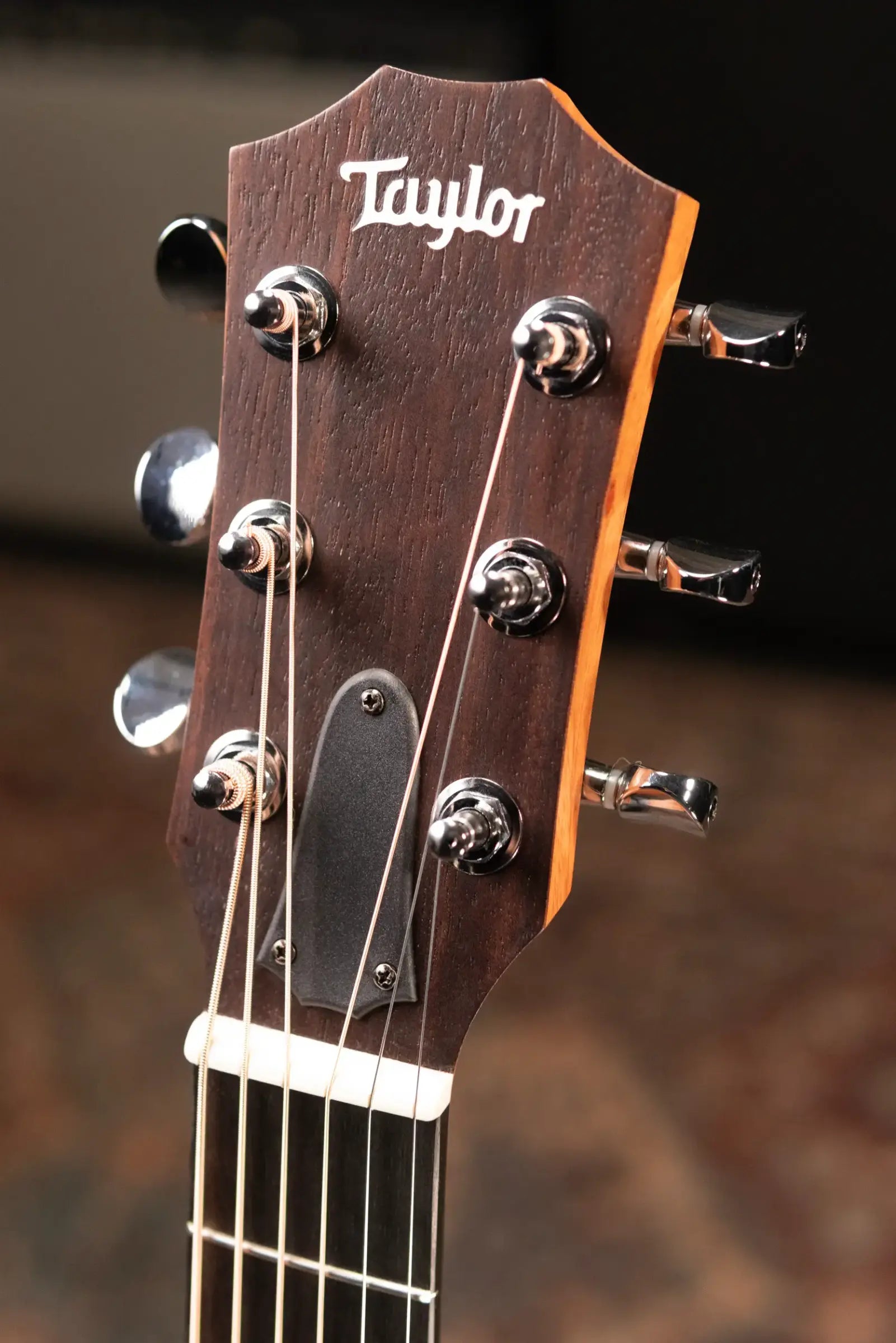 Taylor GS Mini Sapele Acoustic Guitar with GS Mini Bag