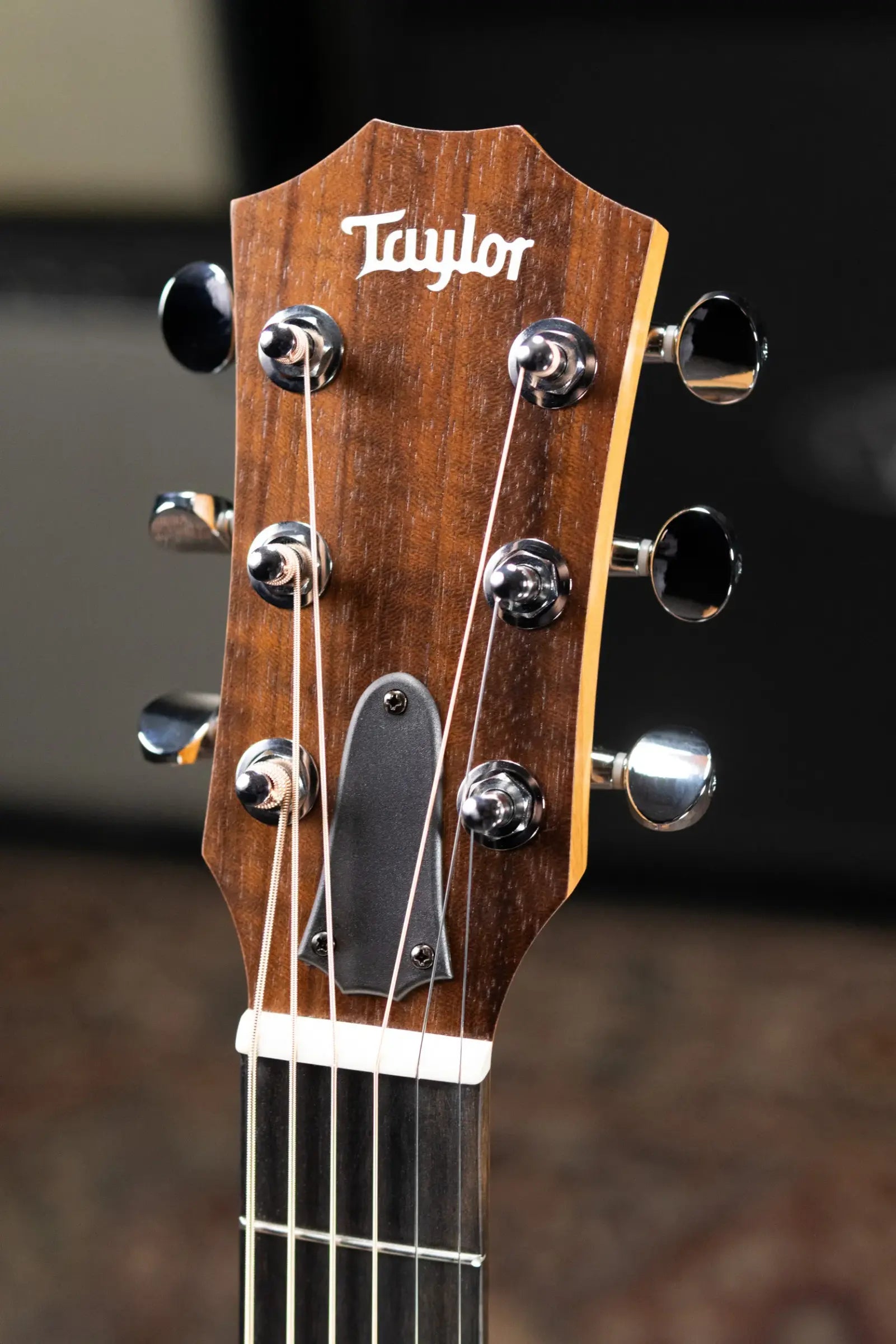 Taylor GS Mini Sapele Acoustic Guitar with GS Mini Bag