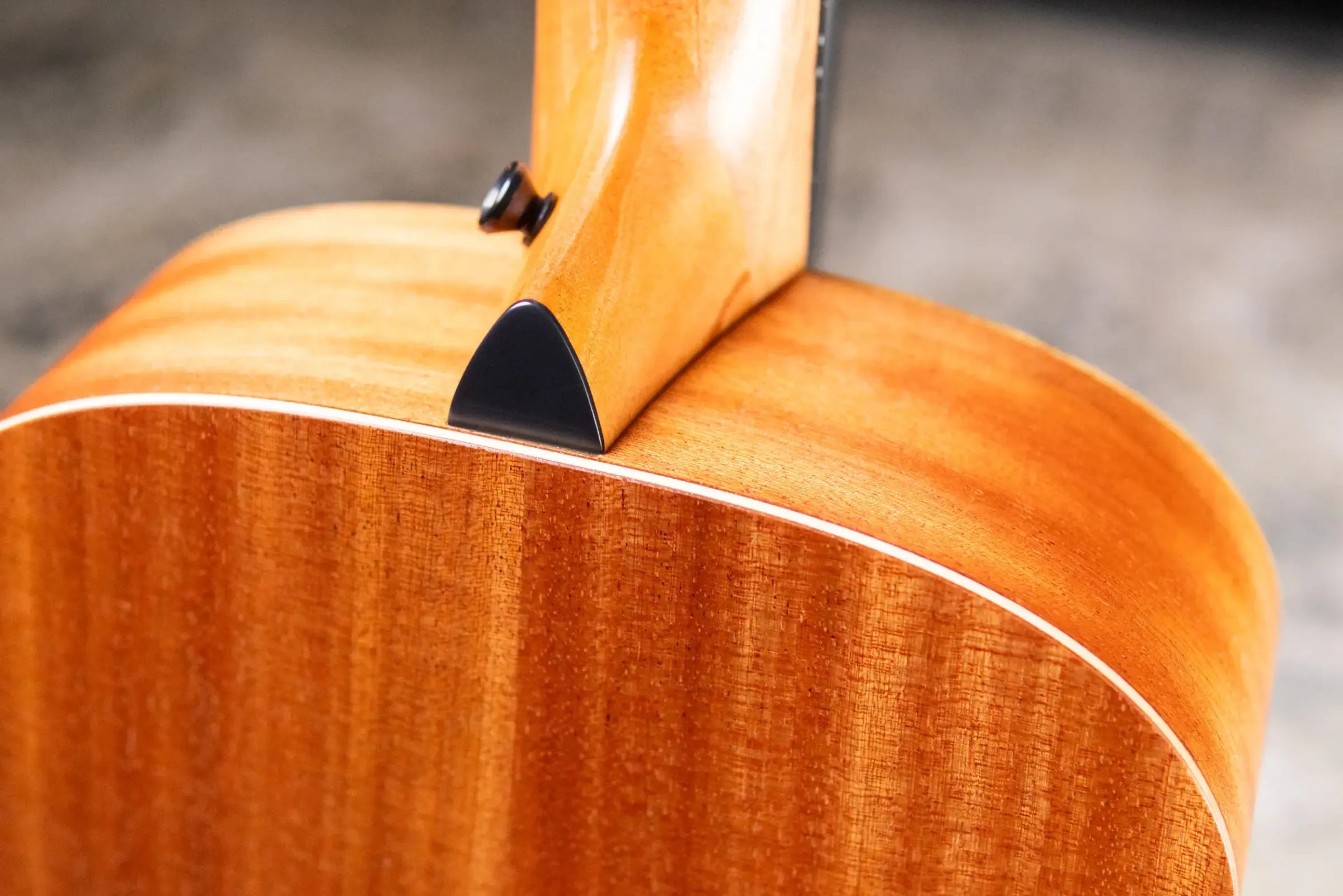 Taylor GS Mini Sapele Acoustic Guitar with GS Mini Hard Bag